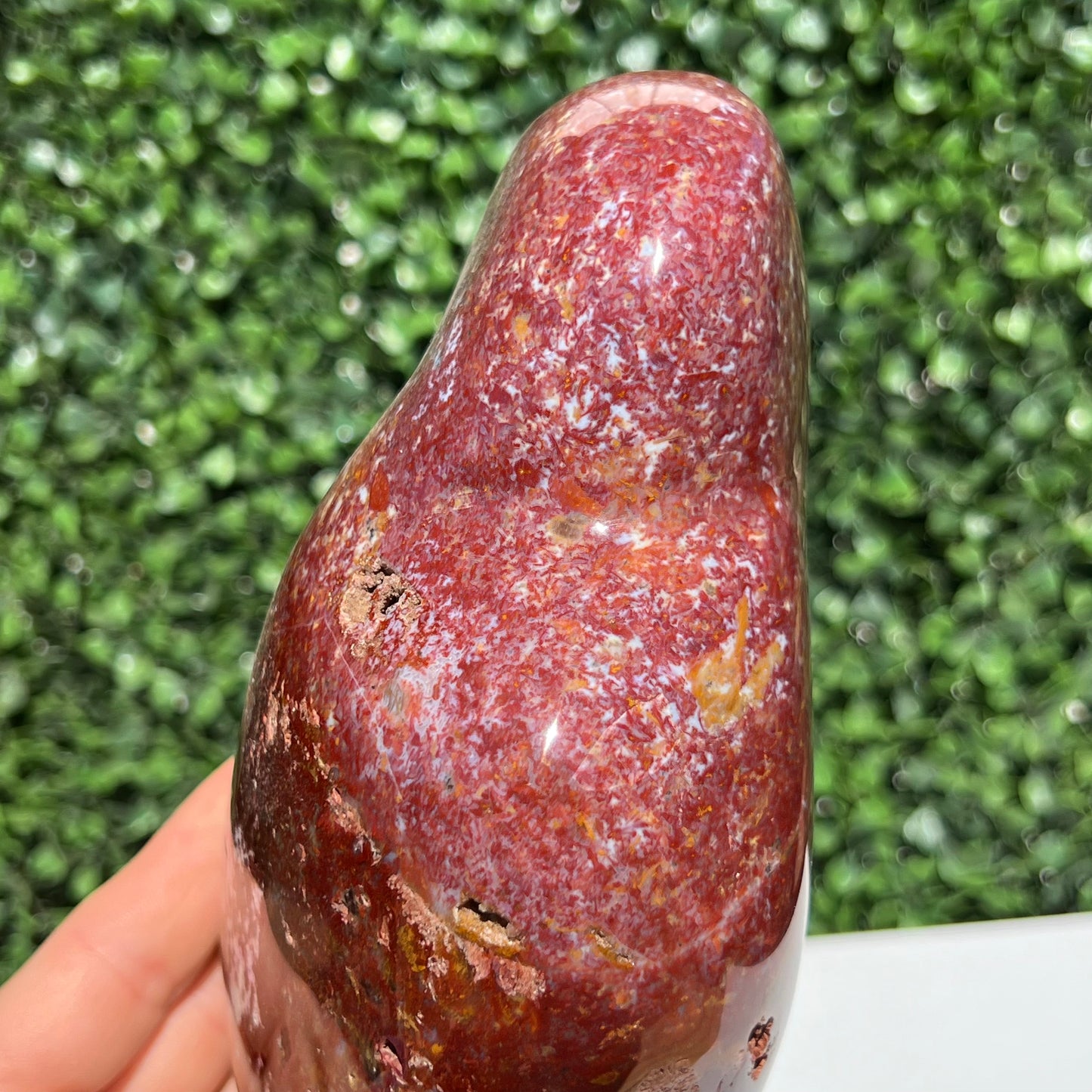 Ocean Jasper Free Form
