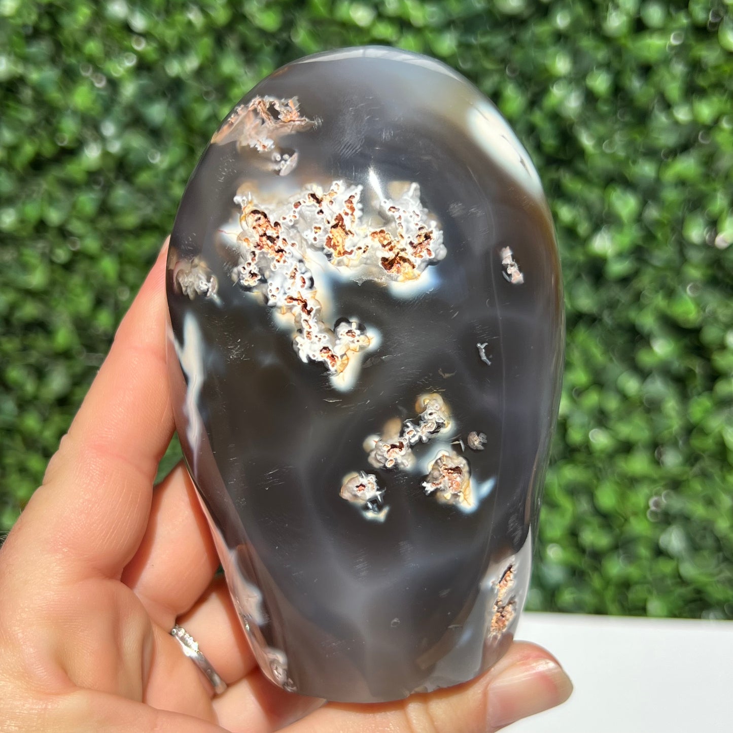 Orca Agate Free Form