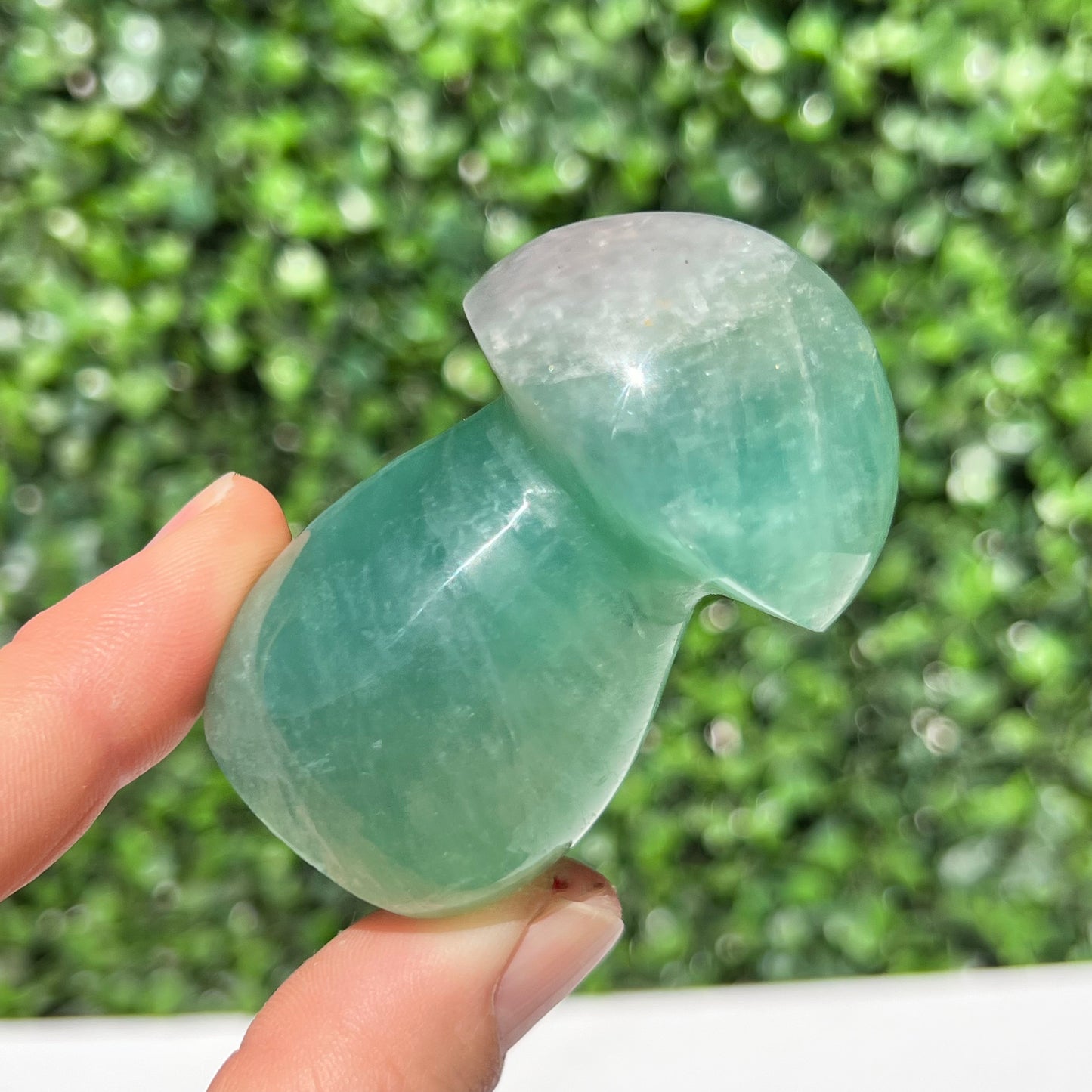 Fluorite Mushroom