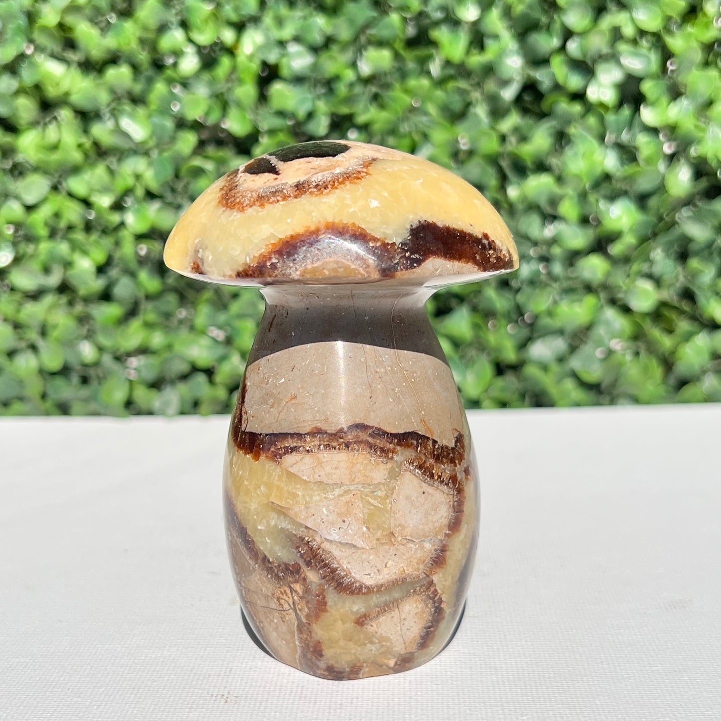 Septarian Yellow Calcite Mushroom