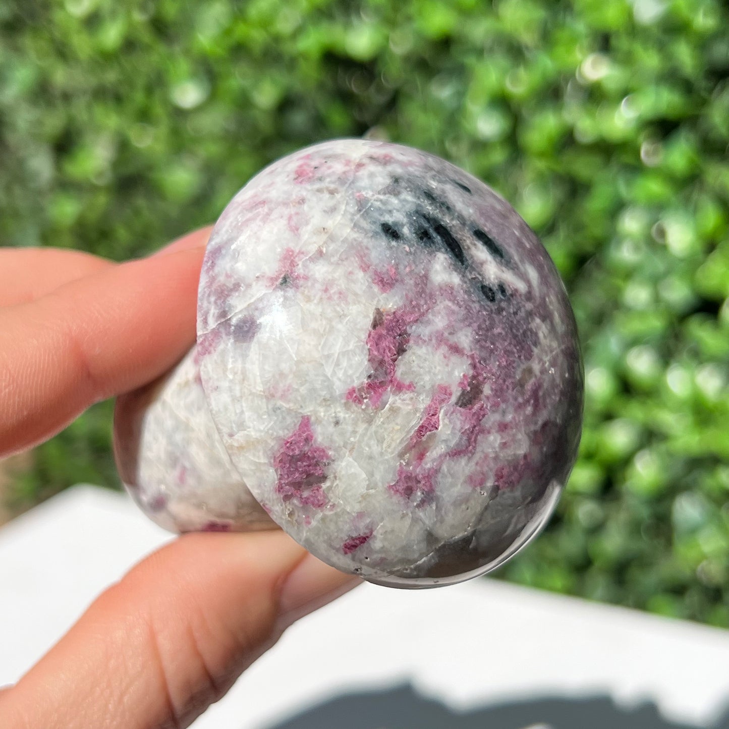 Eudialyte Mushroom