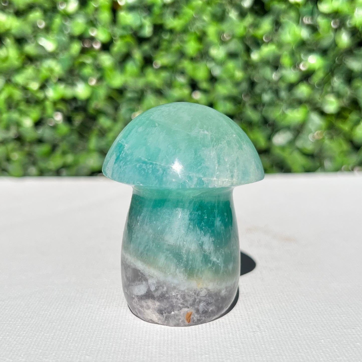 Fluorite Mushroom