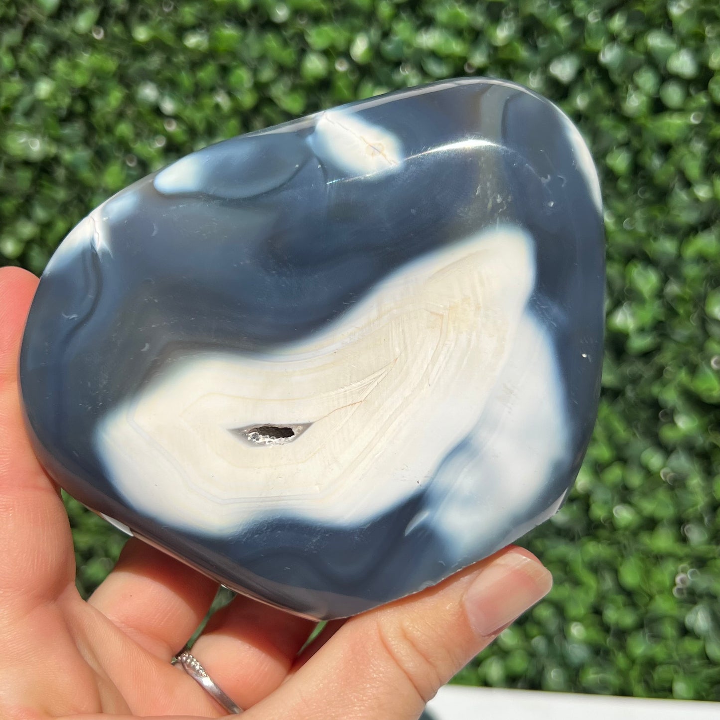 Orca Agate Free Form