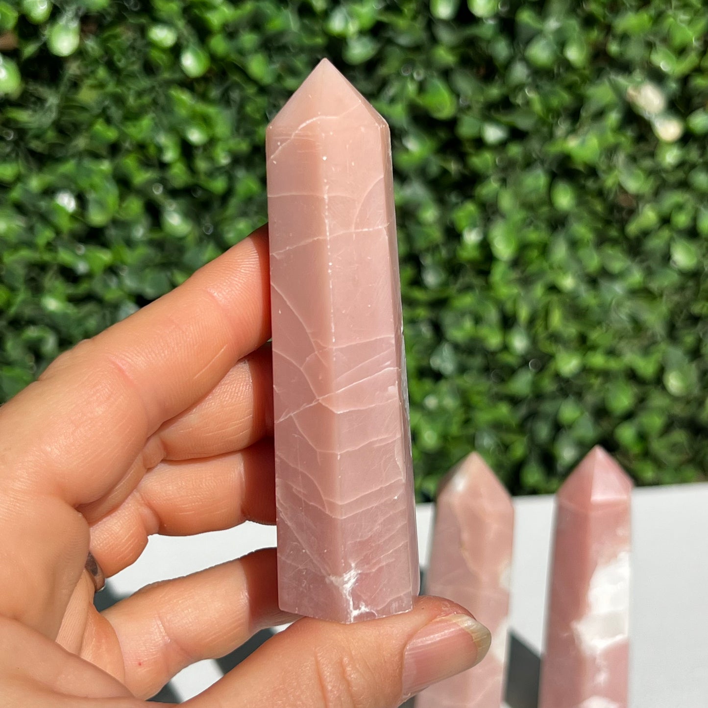 Pink Opal Point’s
