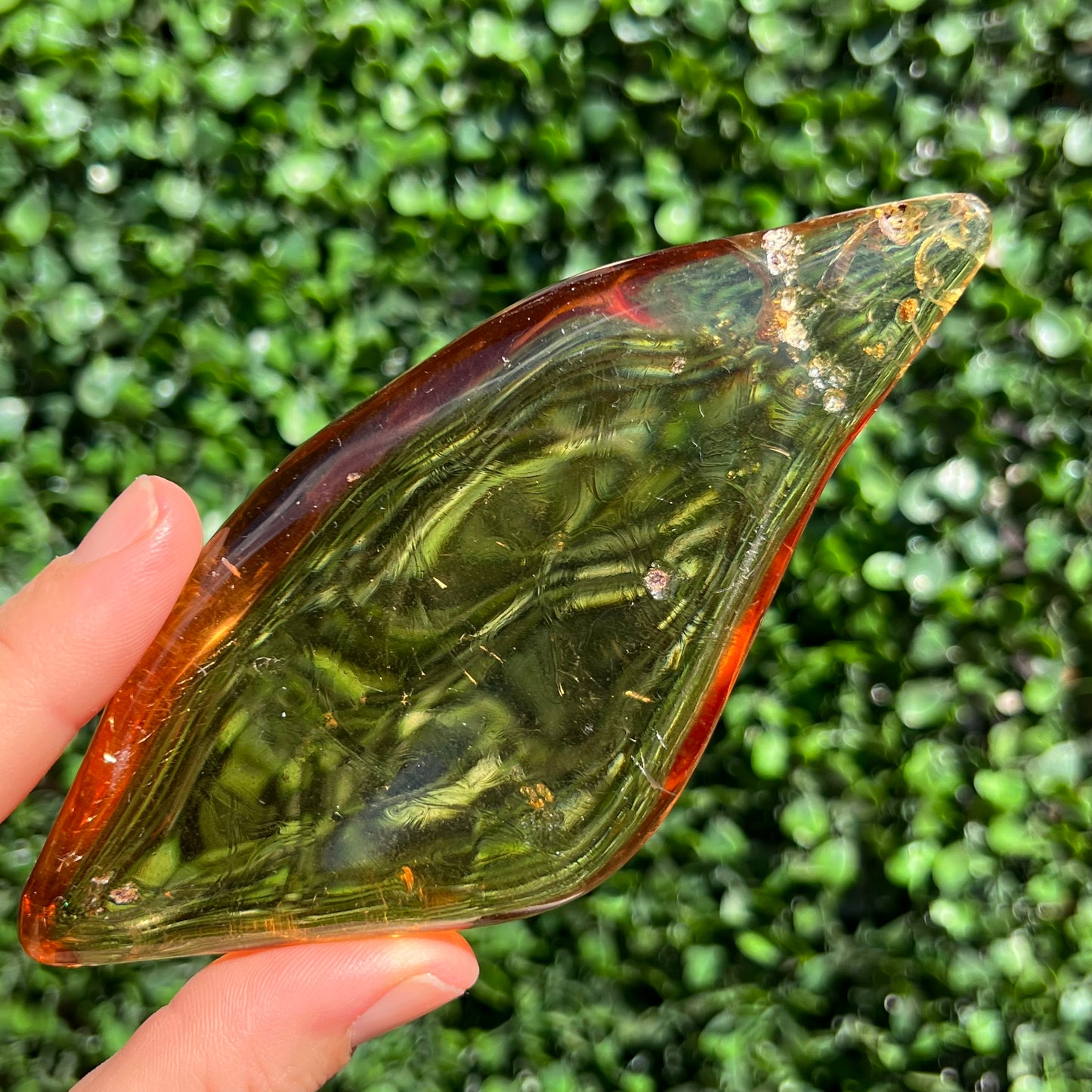 COPAL AMBER RARE SPECIMEN