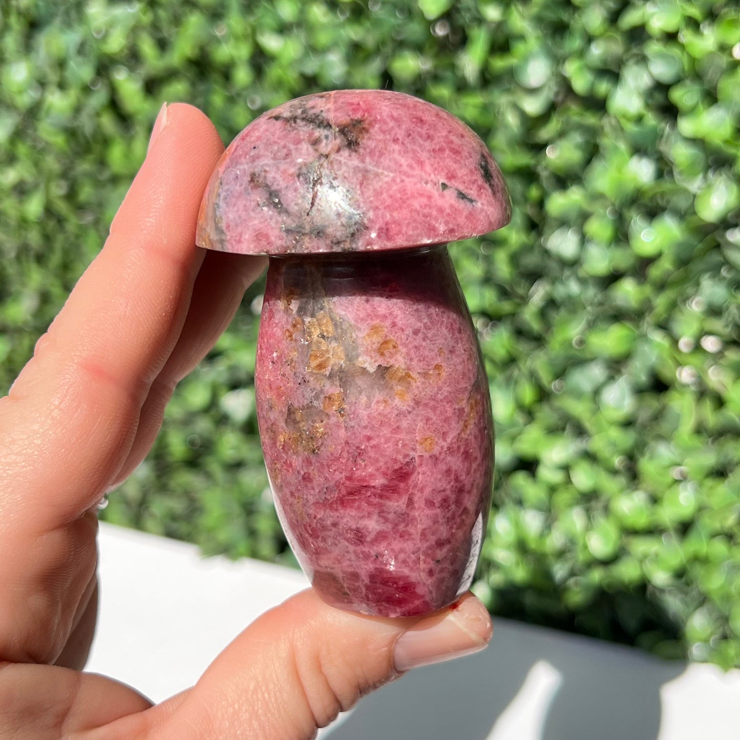 Rhodonite Mushroom