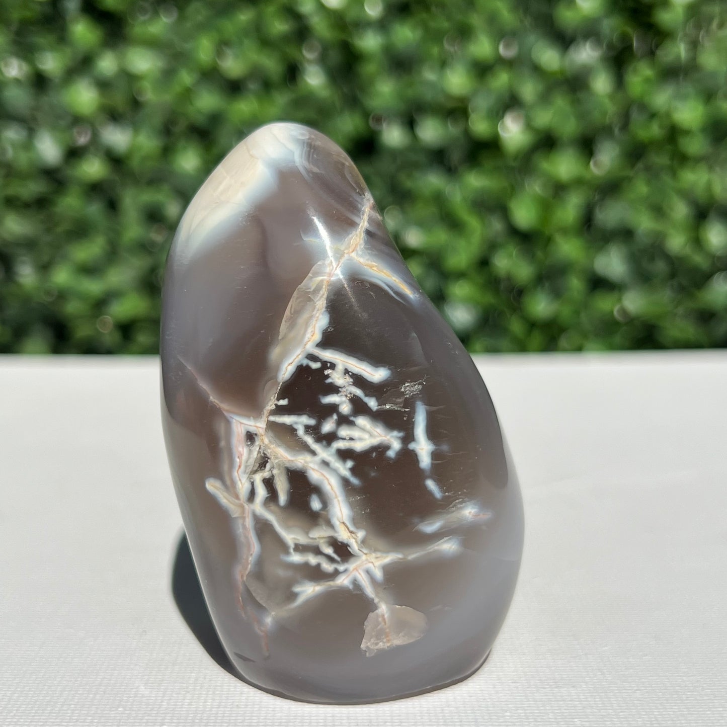 Orca Agate Free Form