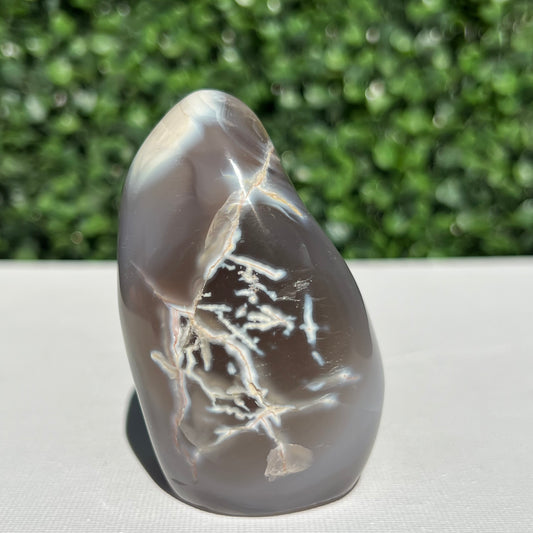 Orca Agate Free Form