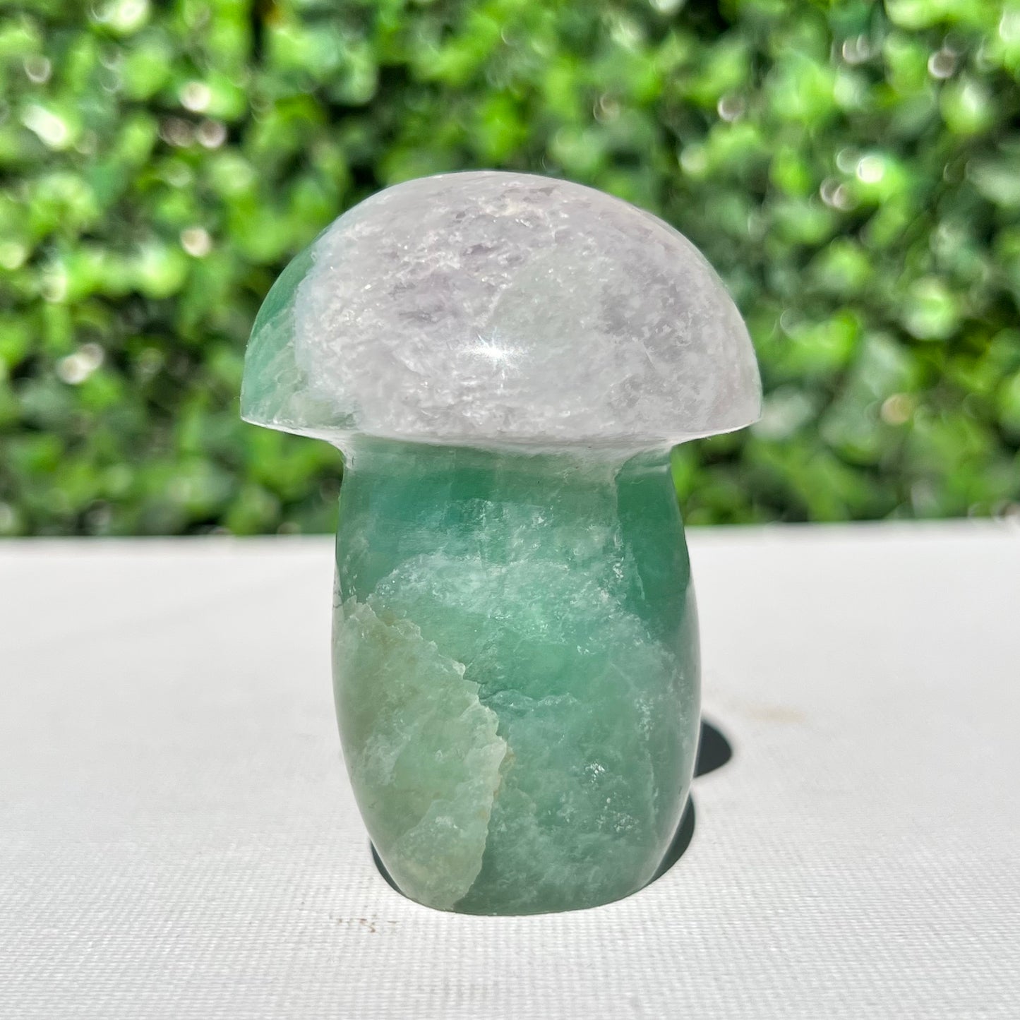 Fluorite Mushroom