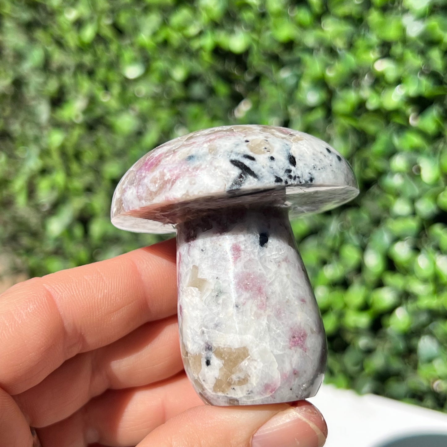 Eudialyte Mushroom