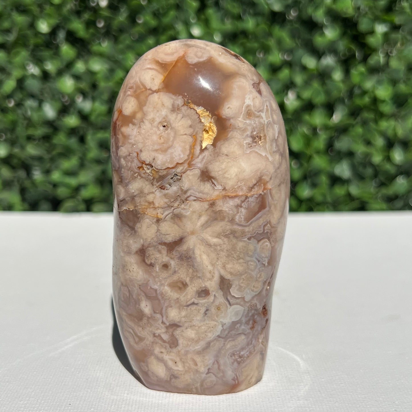 Flower Agate Free Form