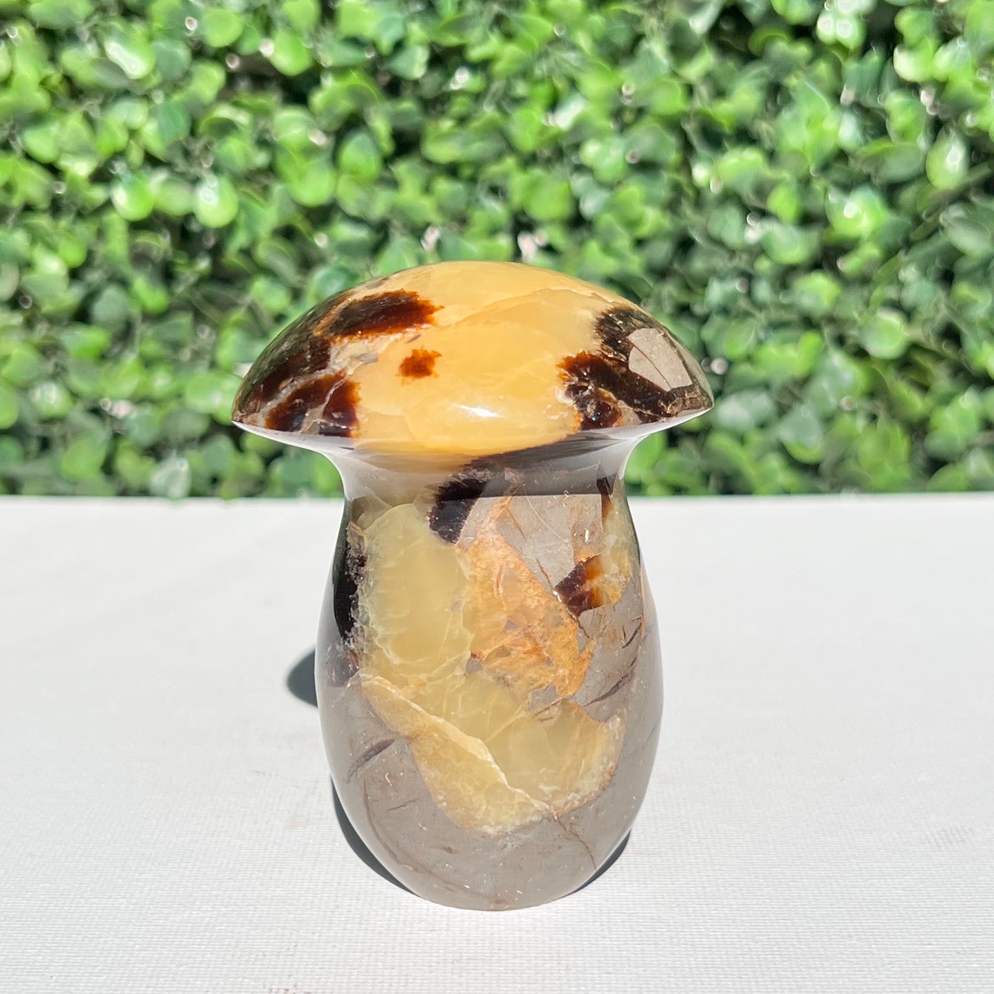 Septarian Yellow Calcite Mushroom