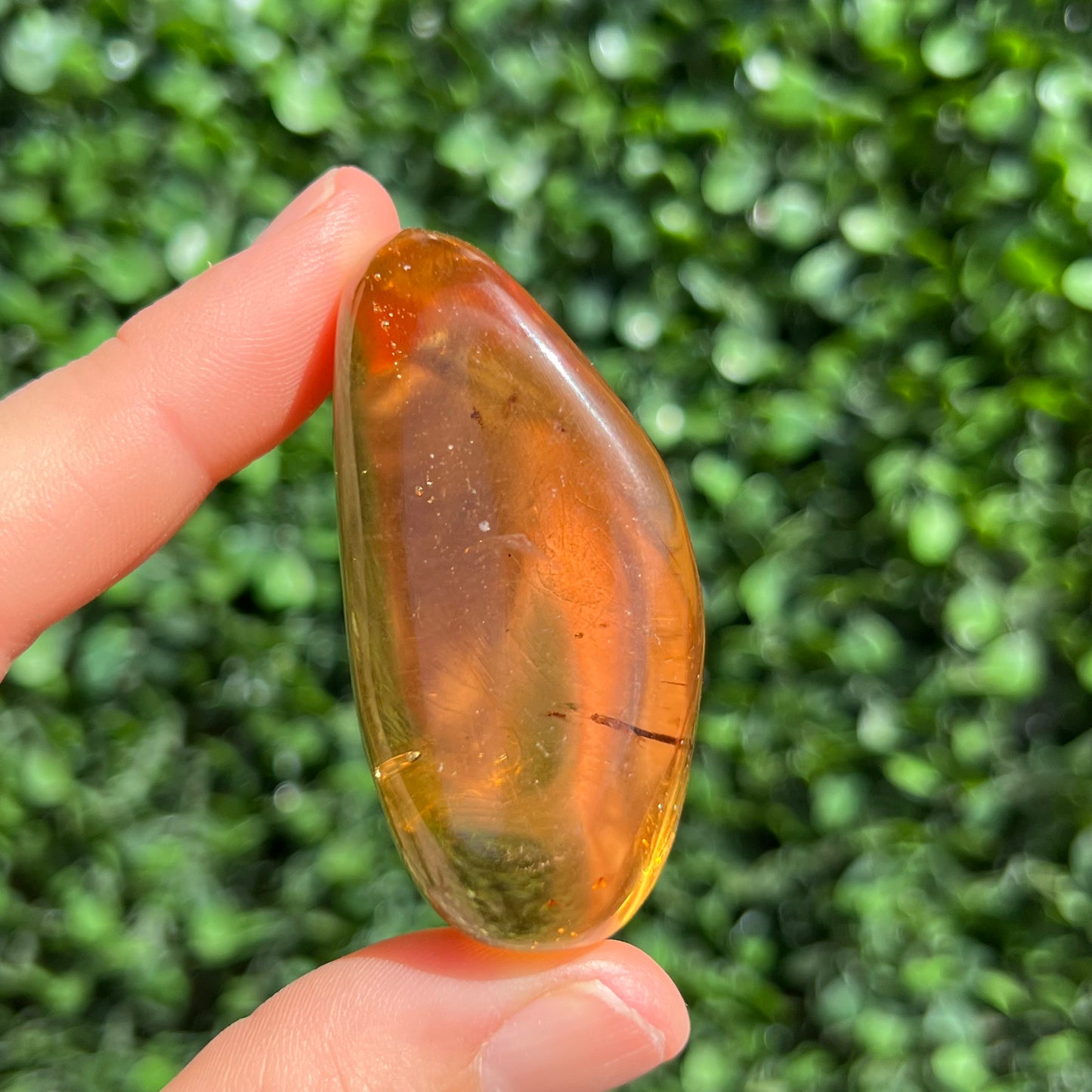 COPAL AMBER RARE SPECIMEN