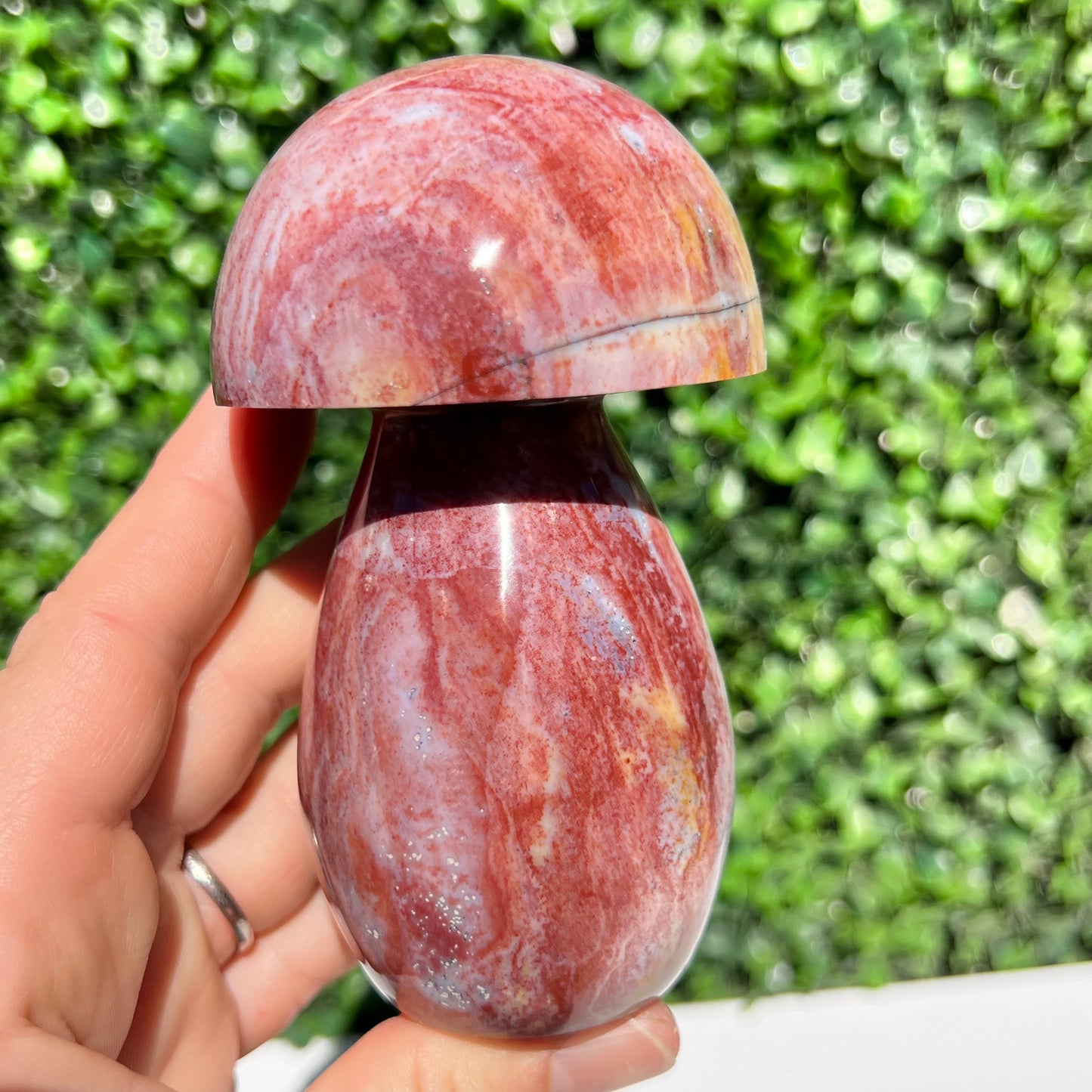 Ocean Jasper Mushroom