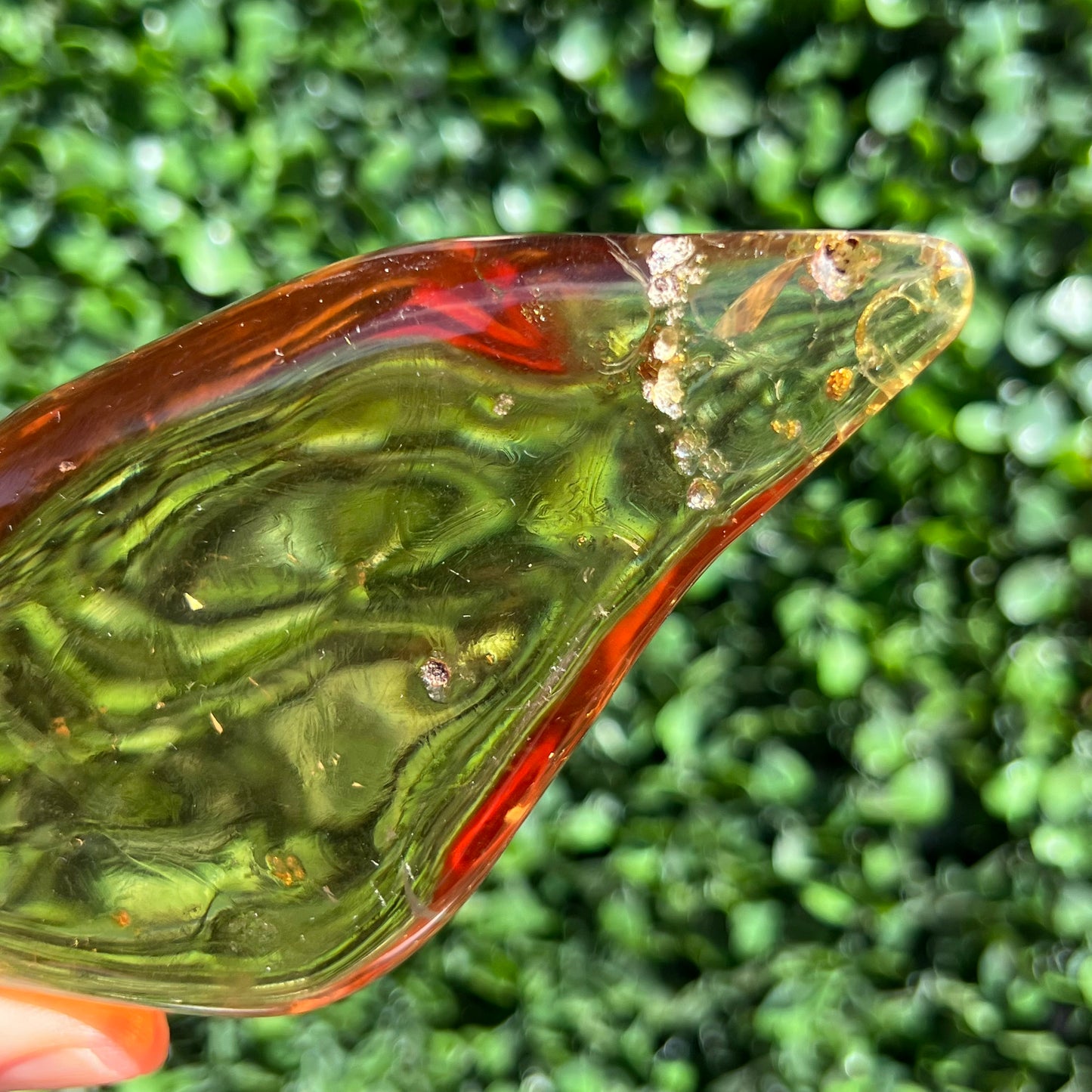 COPAL AMBER RARE SPECIMEN