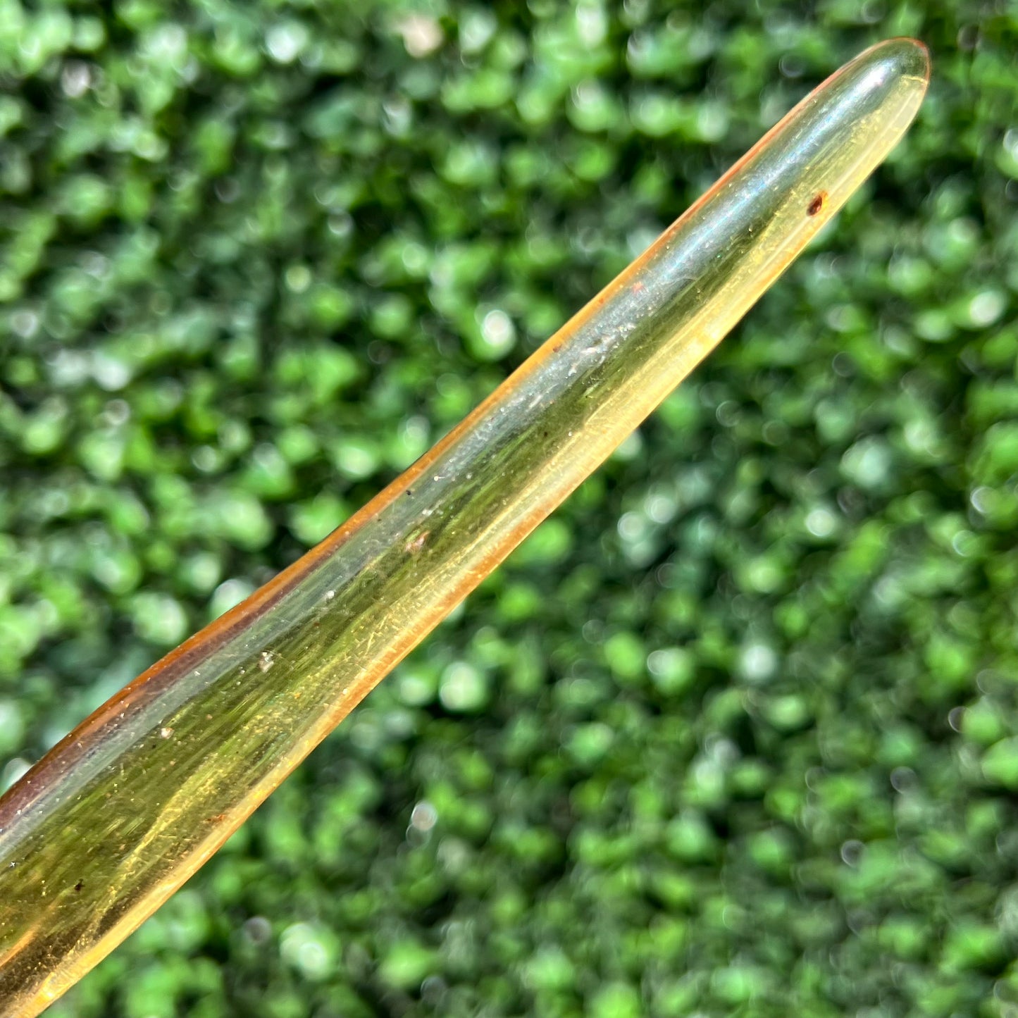 COPAL AMBER RARE SPECIMEN