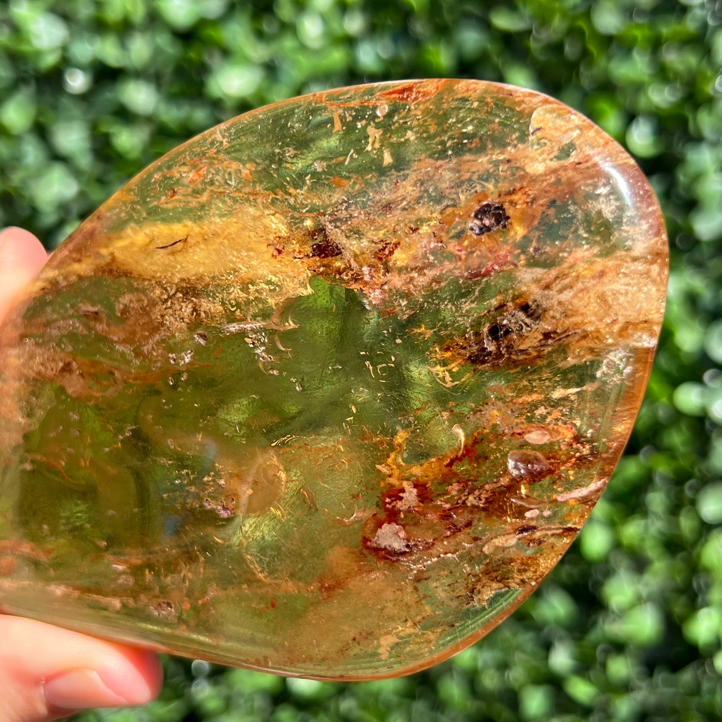 COPAL AMBER RARE SPECIMEN