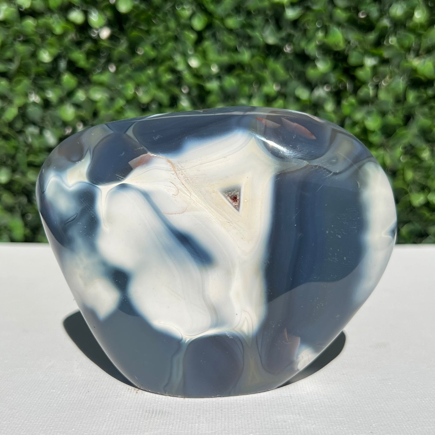 Orca Agate Free Form