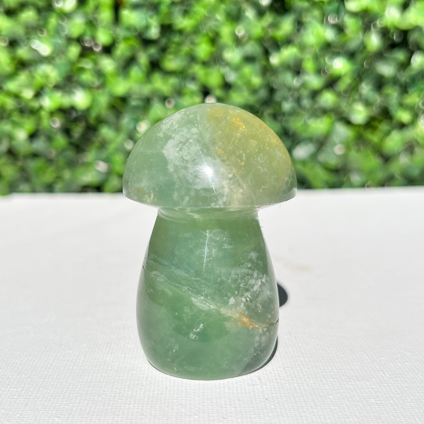 Fluorite Mushroom