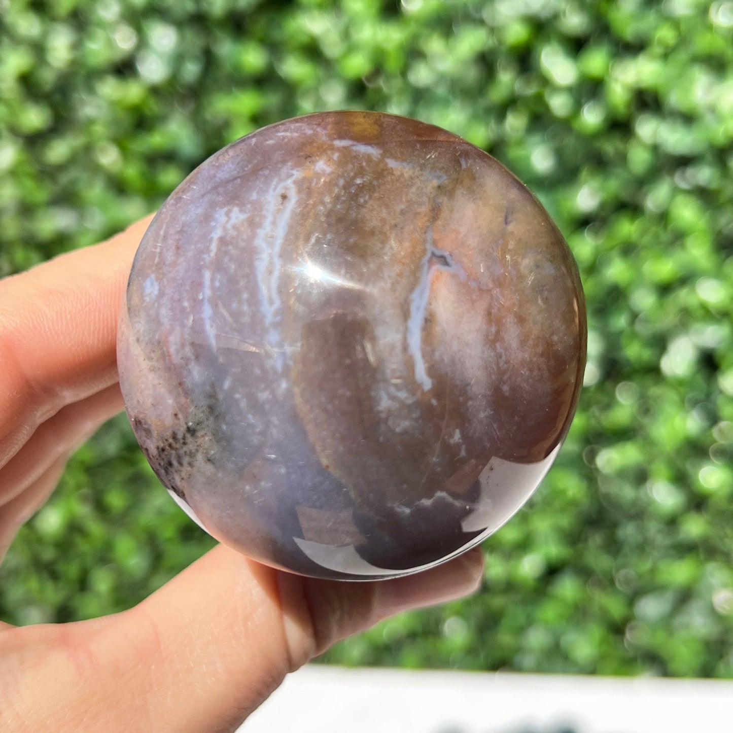 Polychrome Desert Japser Mushroom