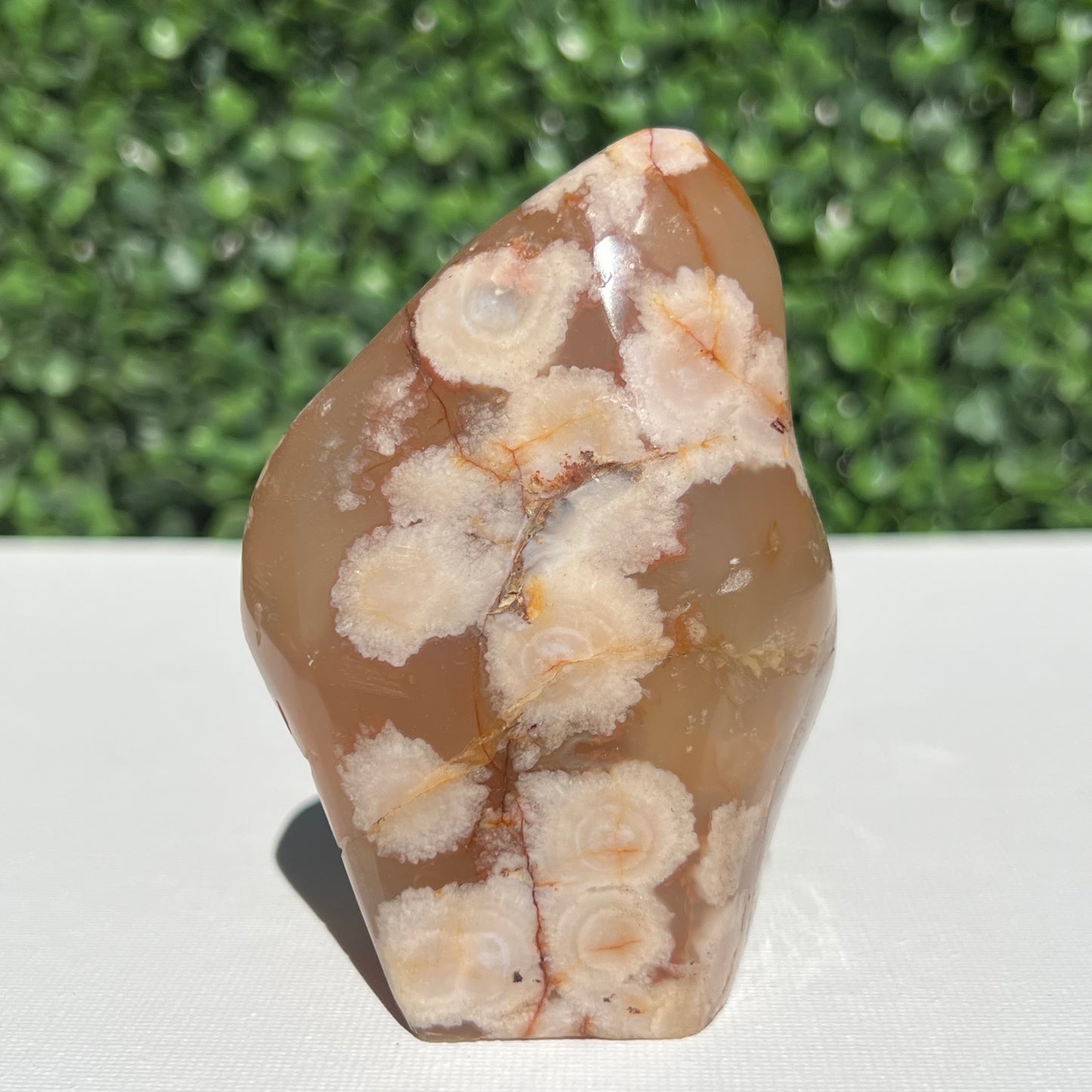 Flower Agate Free Form
