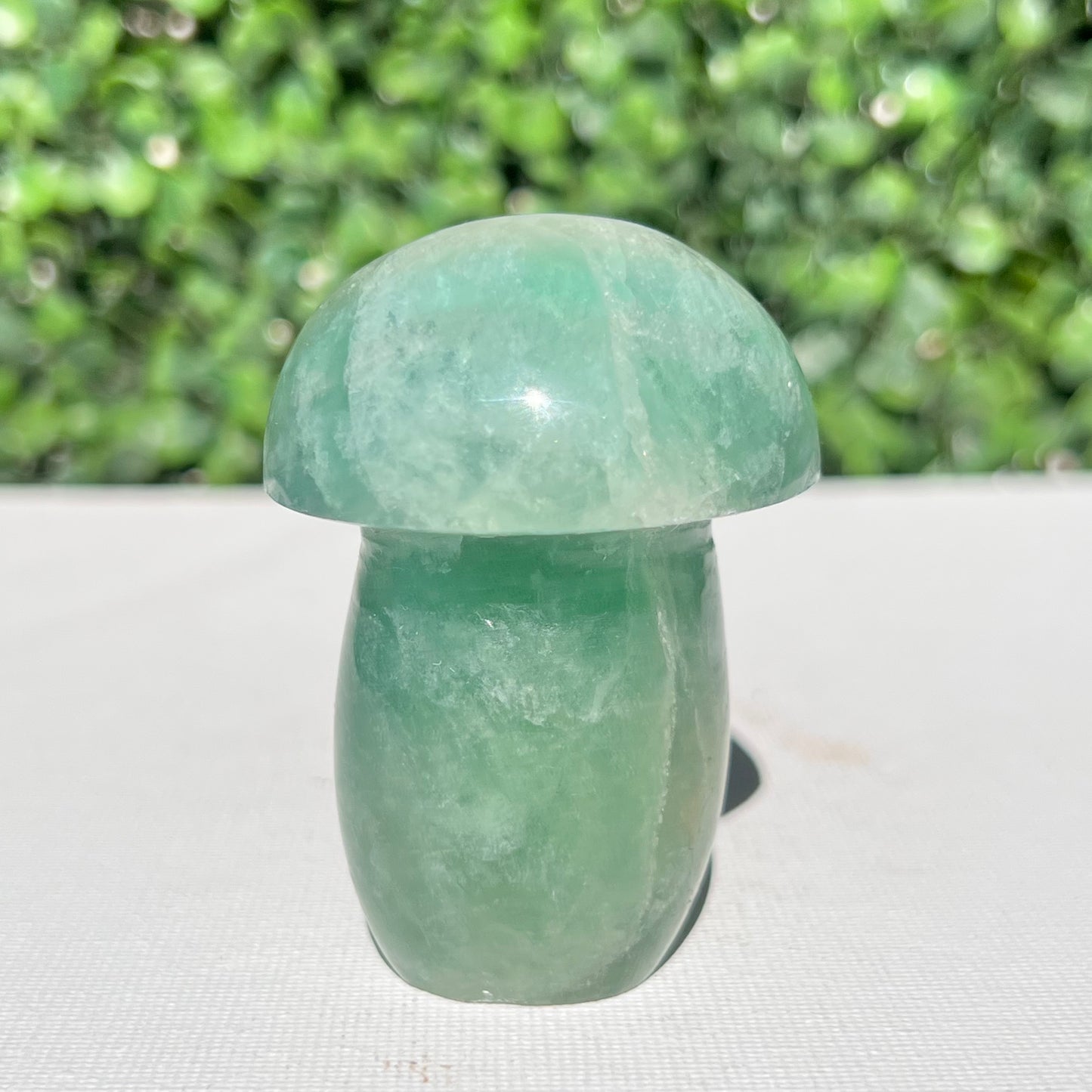 Fluorite Mushroom