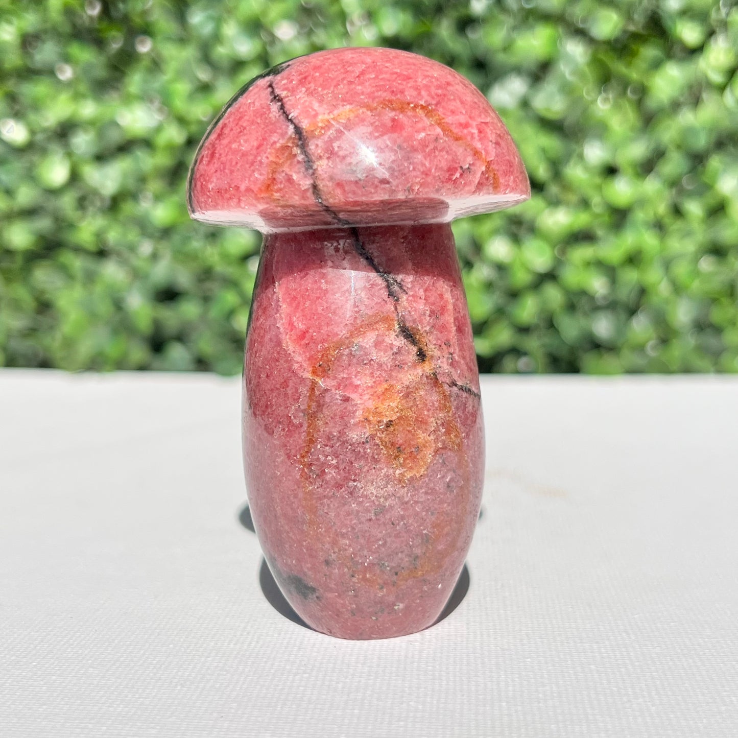 Rhodonite Mushroom