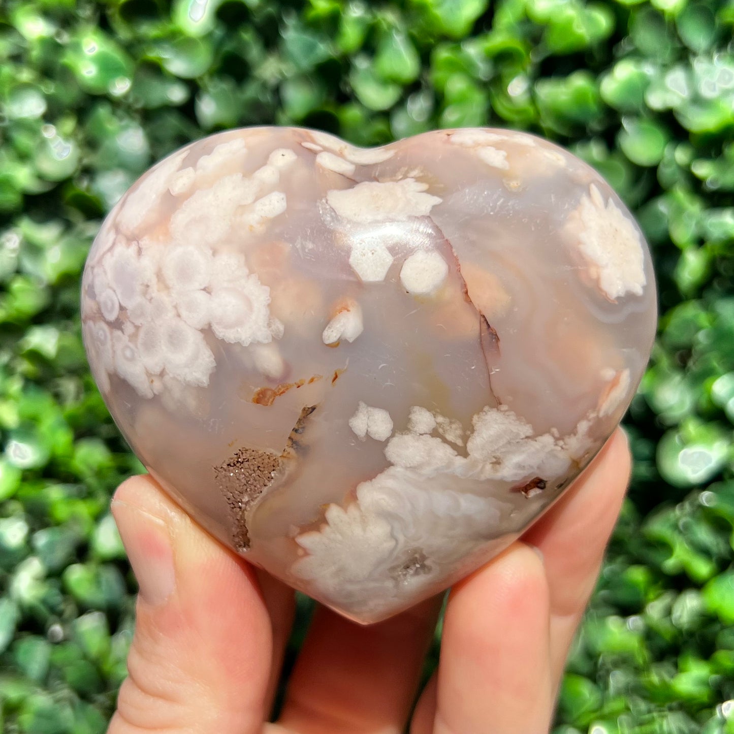 Flower Agate Heart