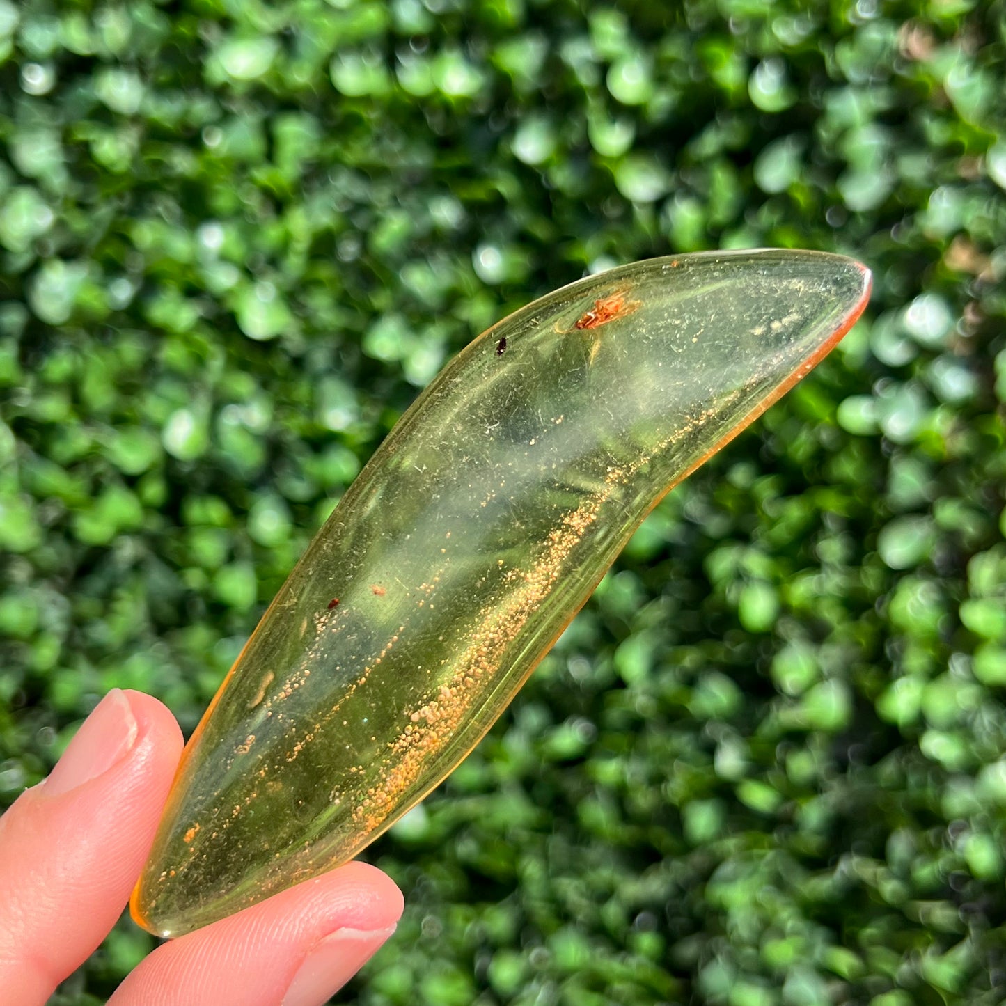 COPAL AMBER RARE SPECIMEN