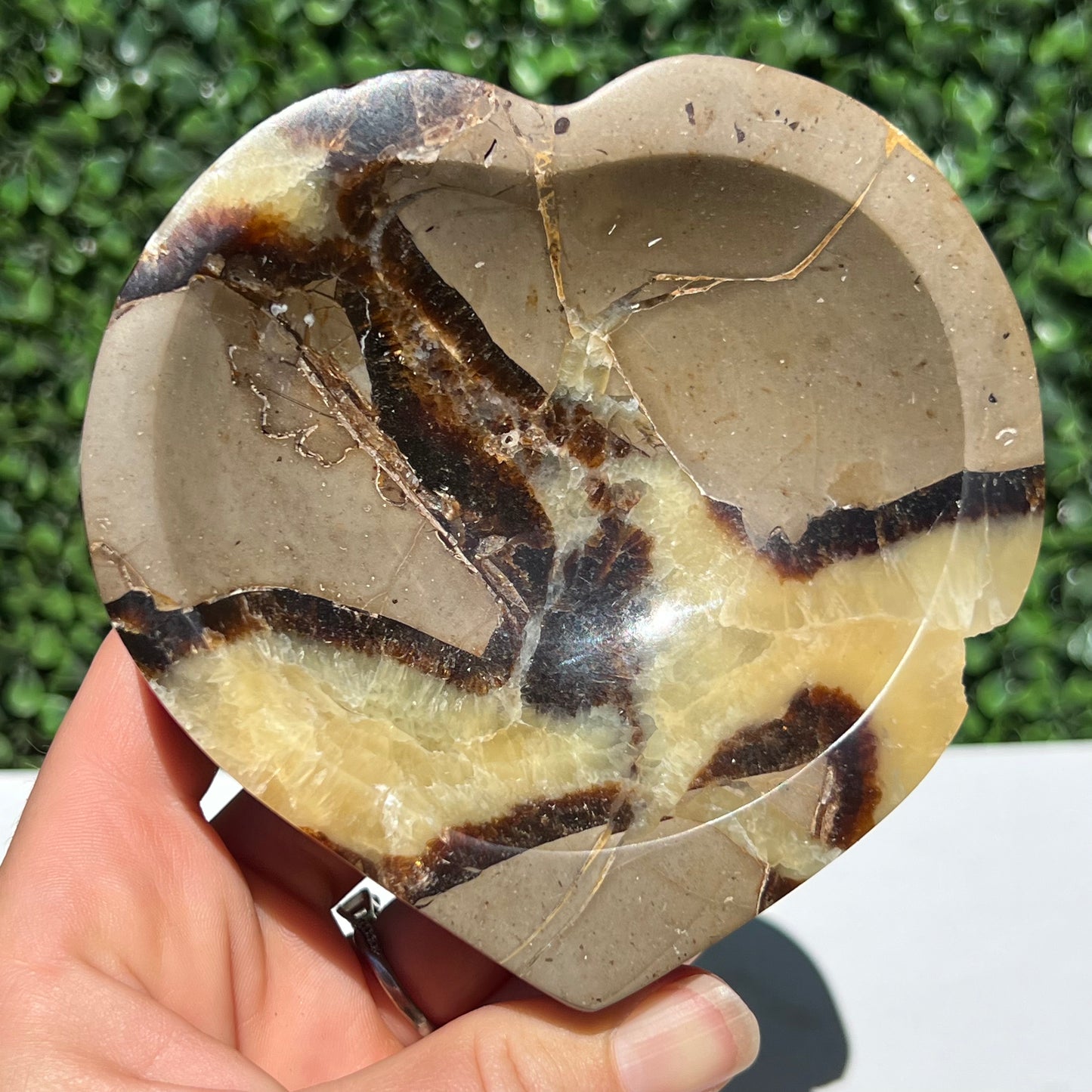 Septarian Yellow Calcite Bowl
