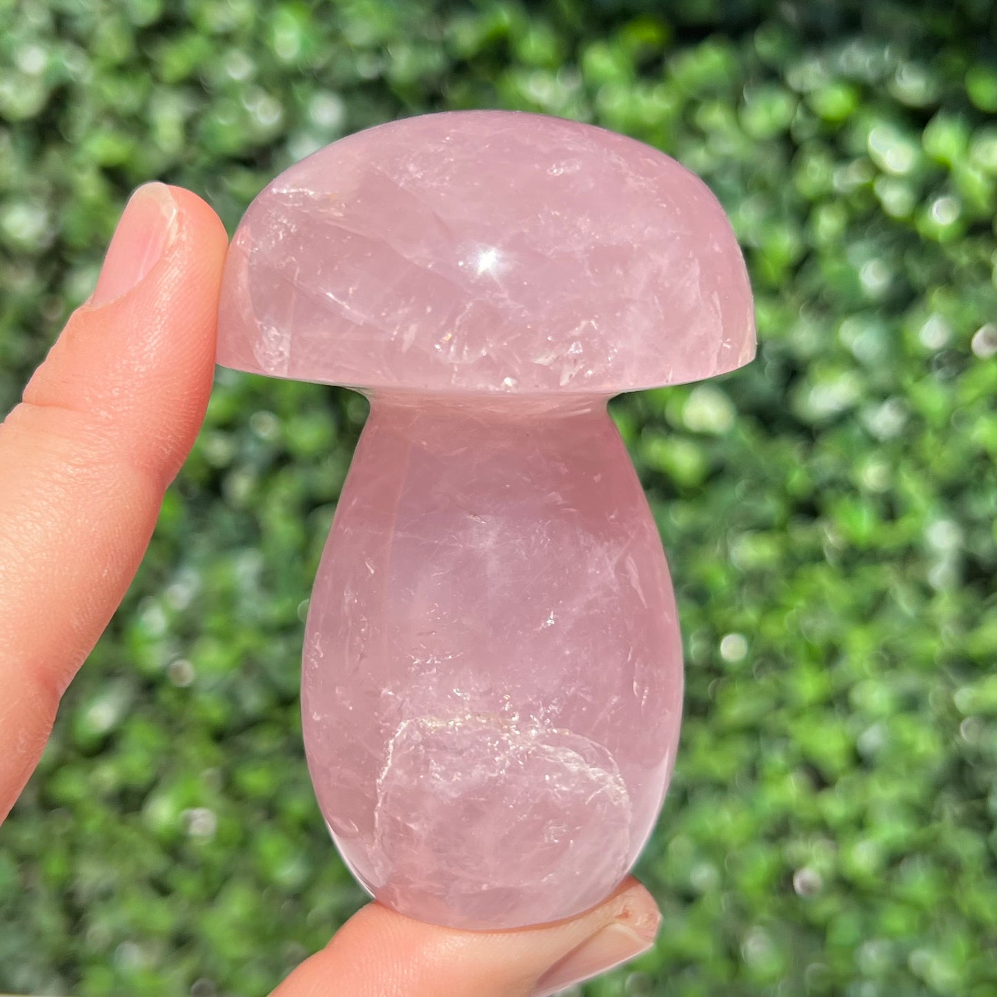 Rose Quartz Mushroom