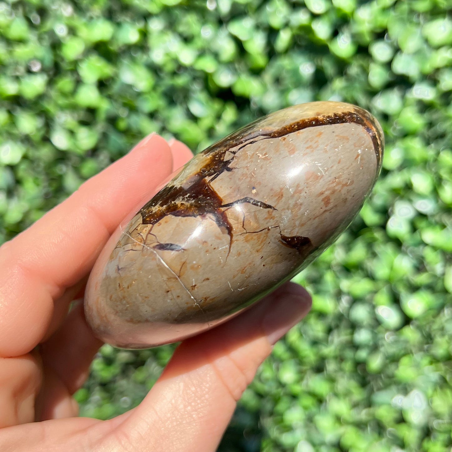 Septarian Yellow Calcite Heart