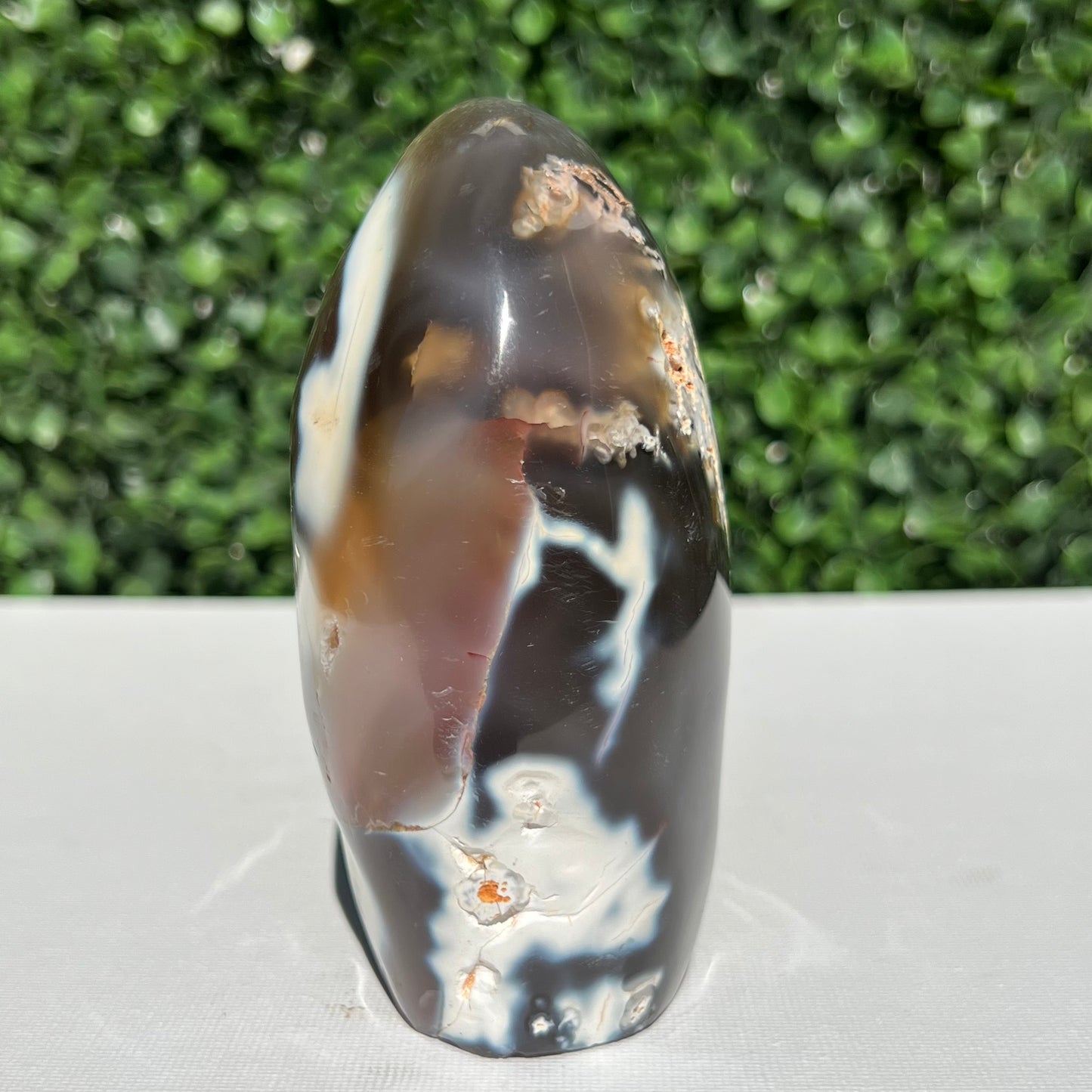 Orca Agate Free Form