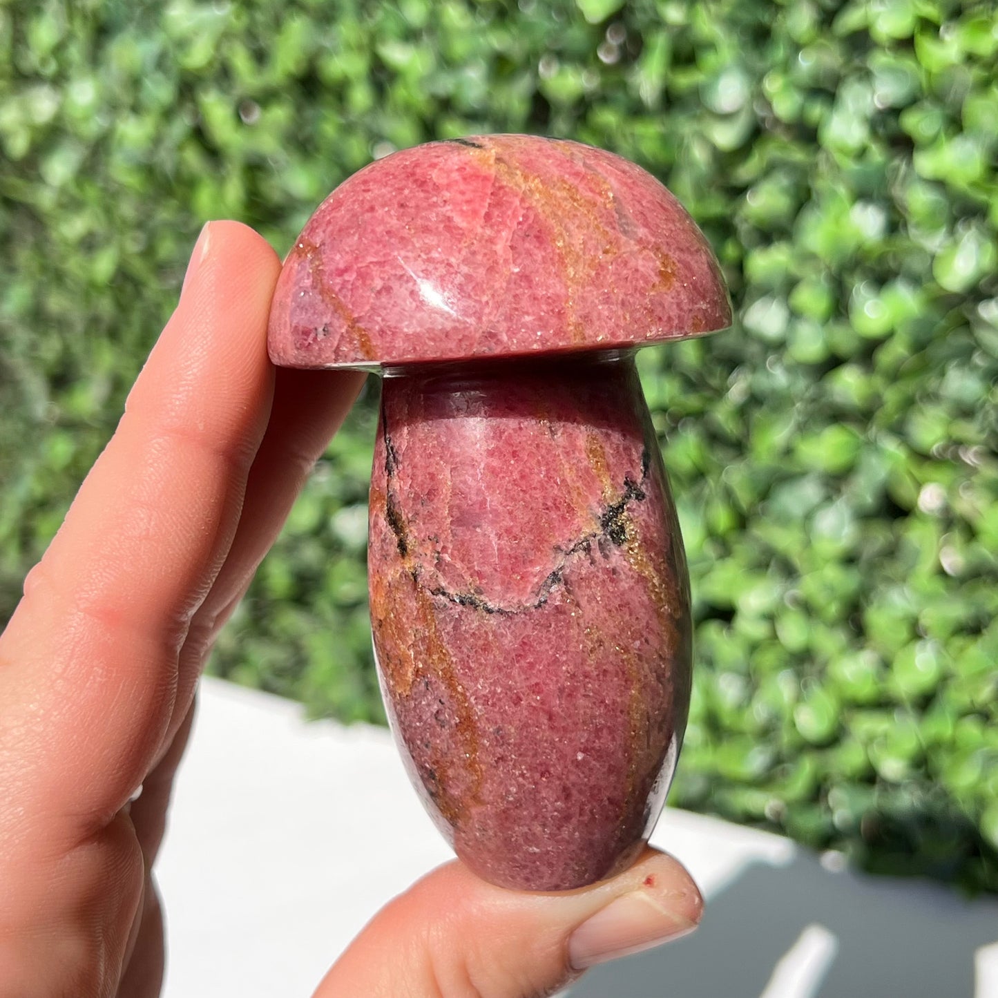 Rhodonite Mushroom