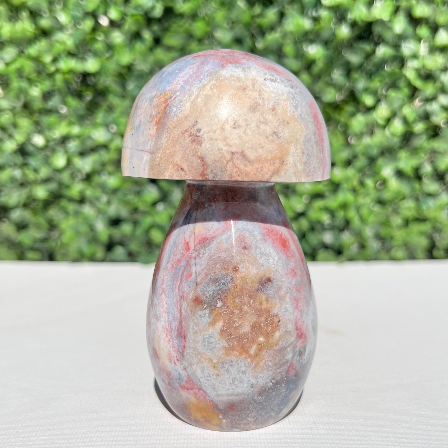 Ocean Jasper Mushroom