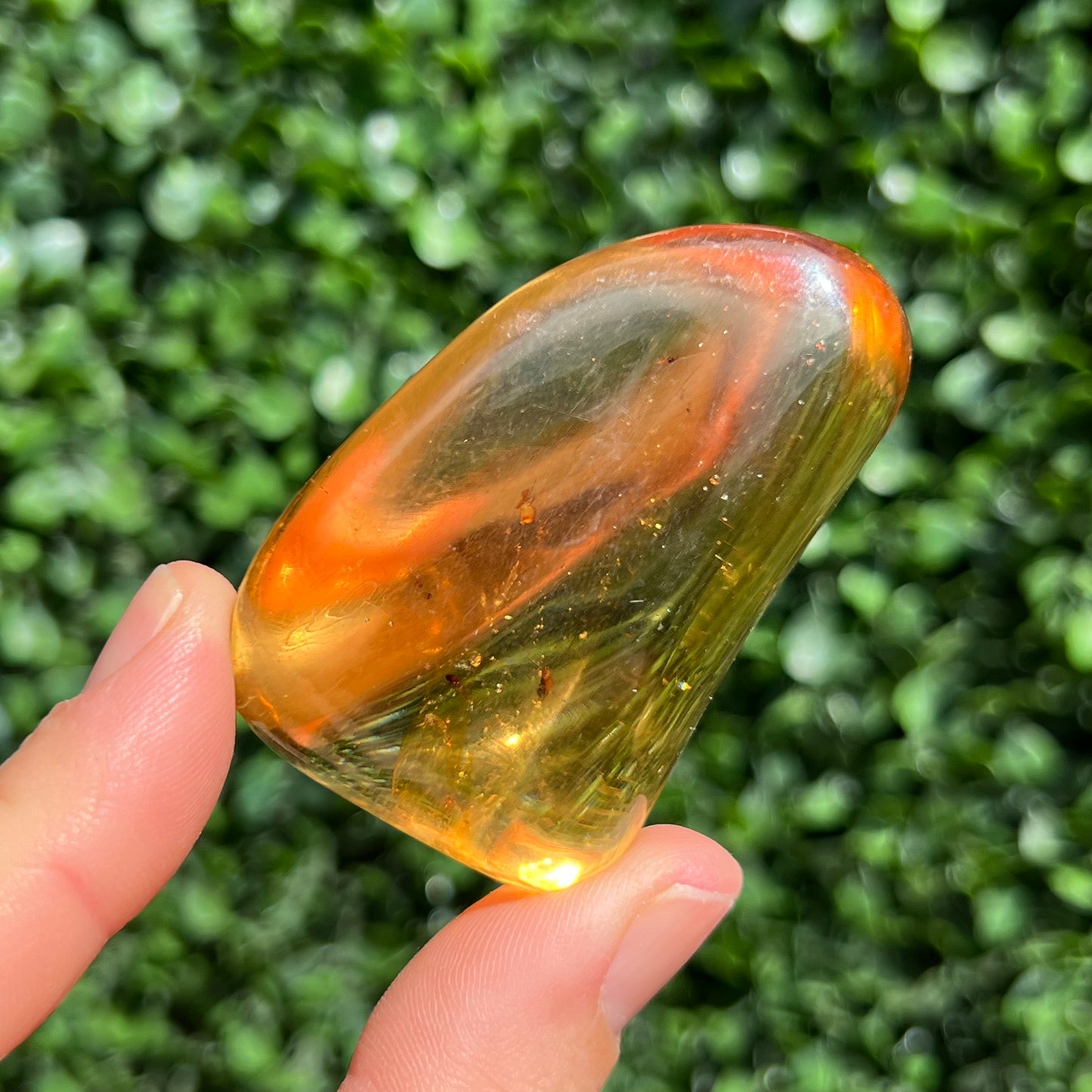 COPAL AMBER RARE SPECIMEN