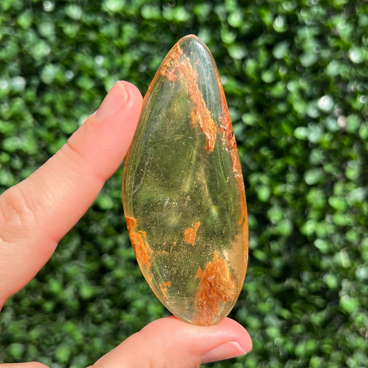 COPAL AMBER RARE SPECIMEN