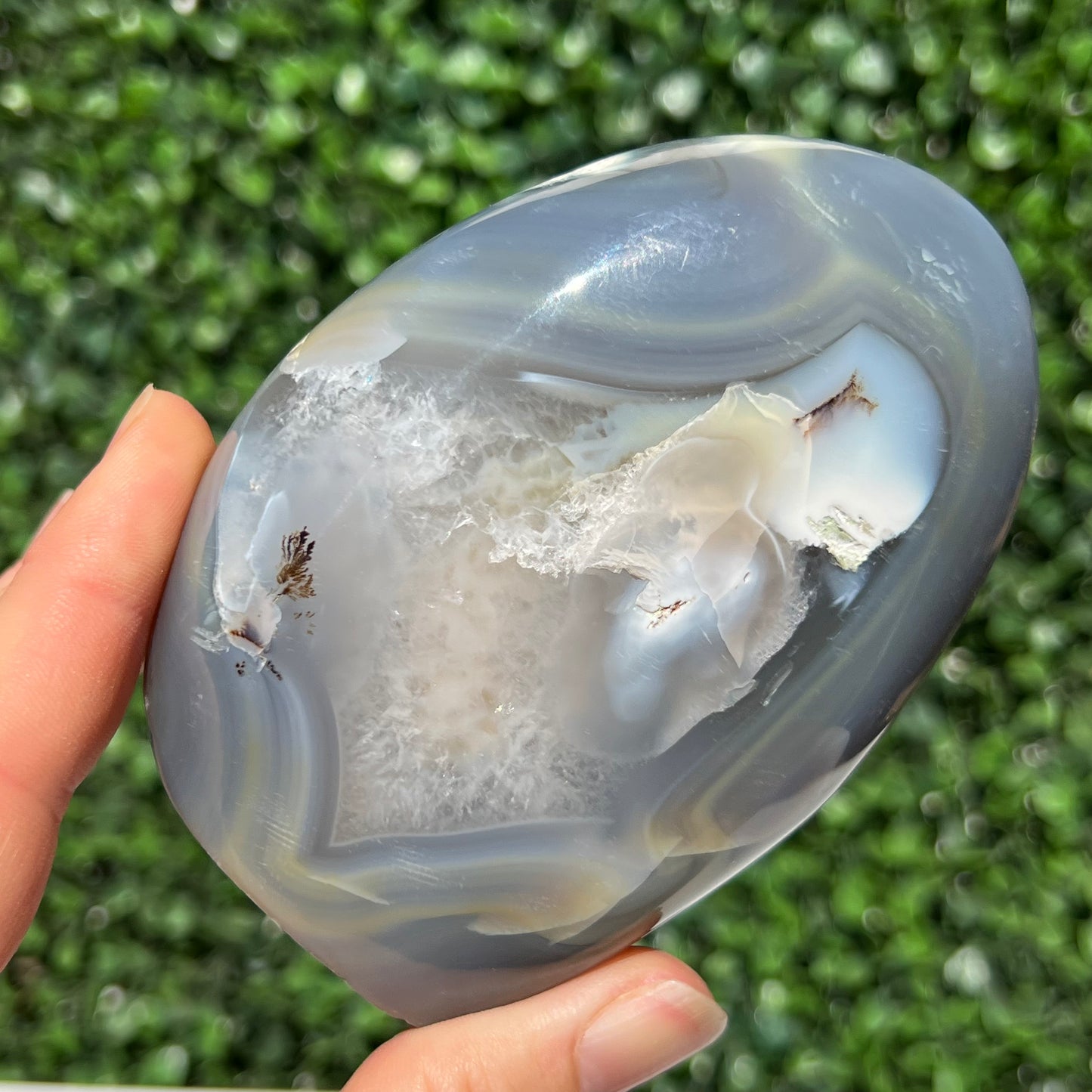 Orca Agate Free Form