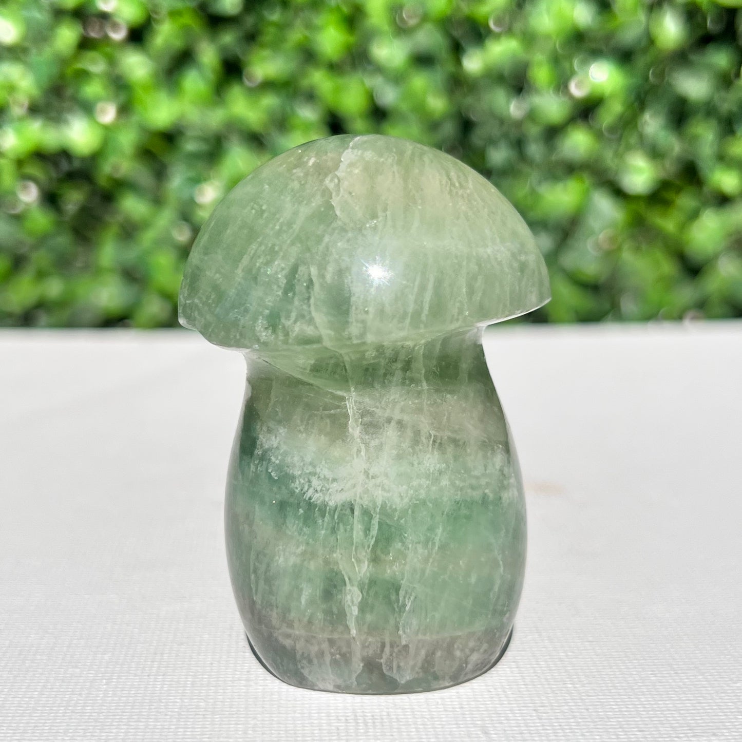 Fluorite Mushroom