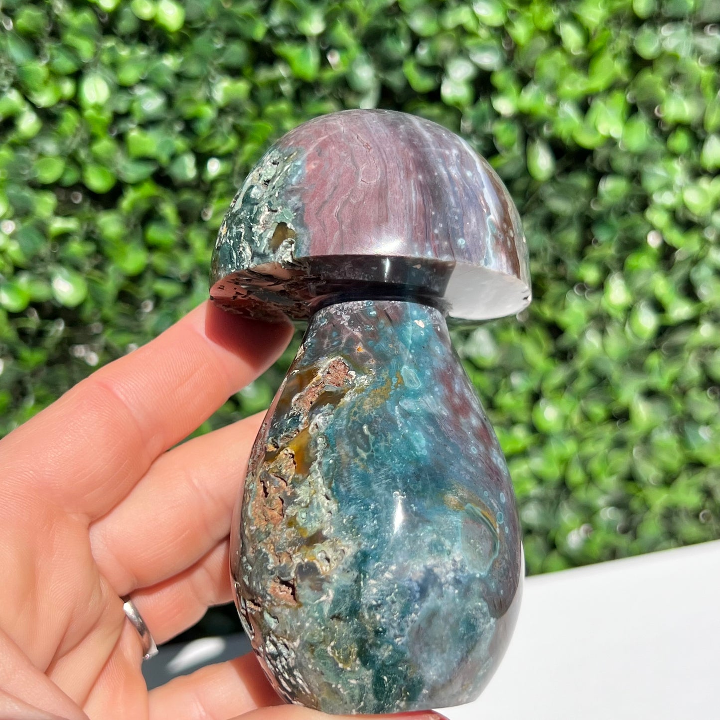 Ocean Jasper Mushroom
