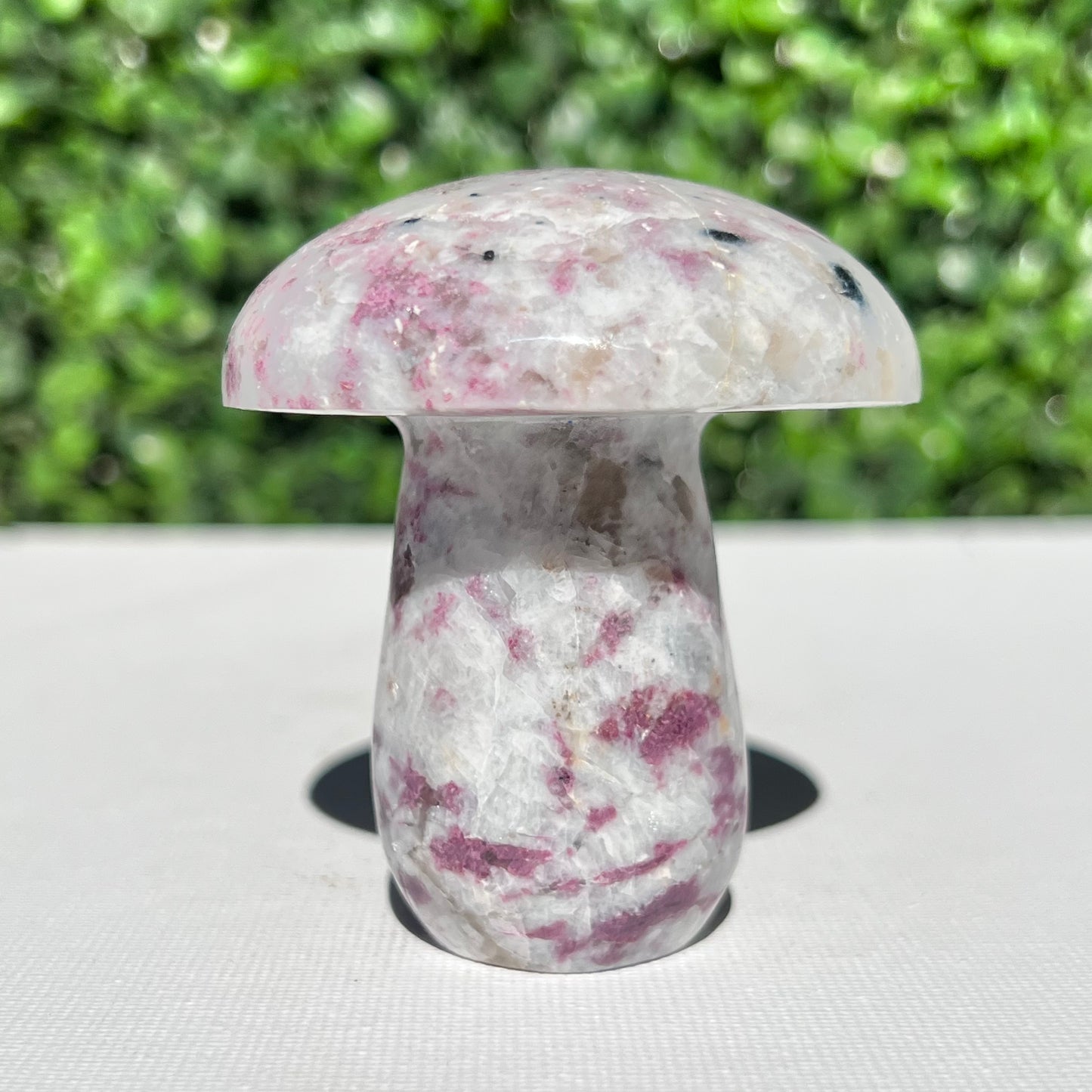 Eudialyte Mushroom