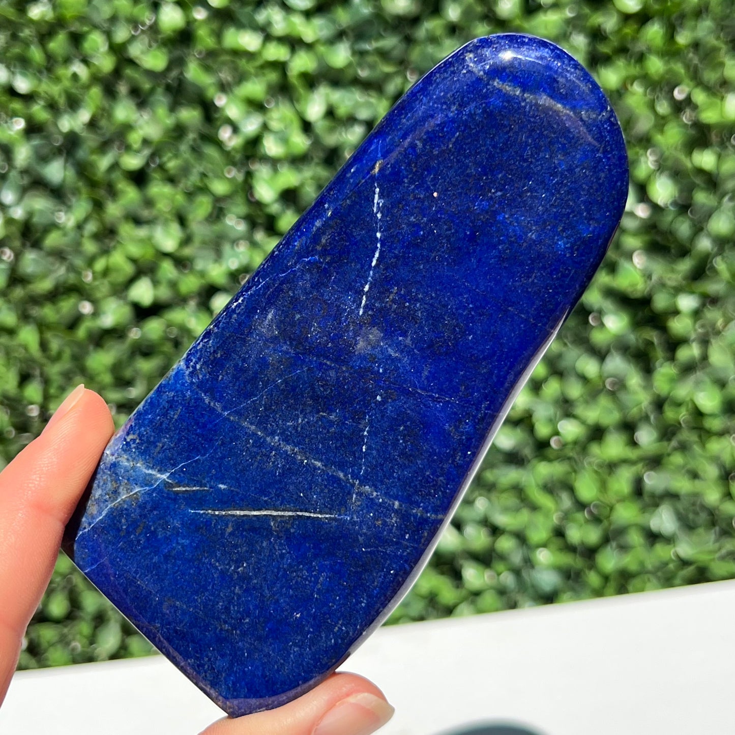 Lapis Lazuli Free Form