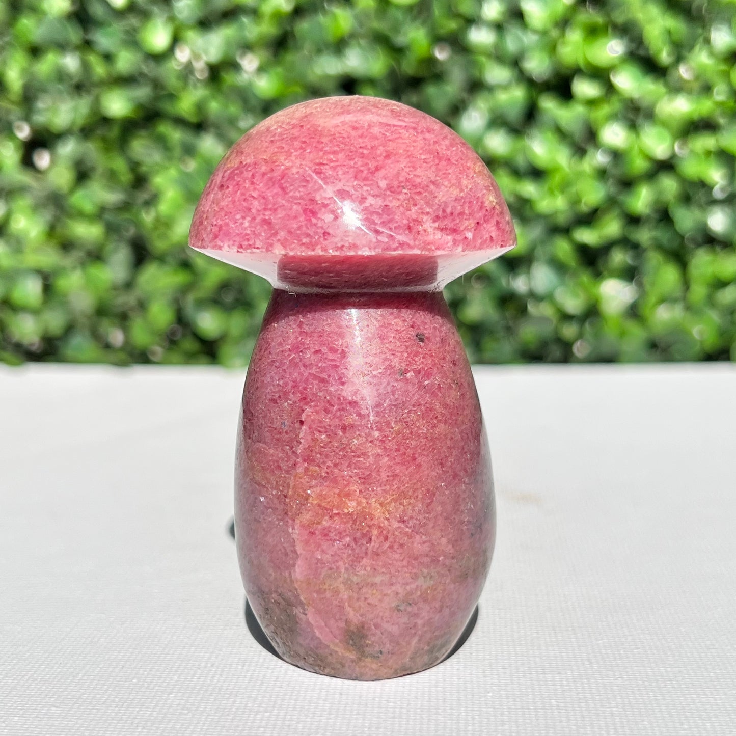 Rhodonite Mushroom