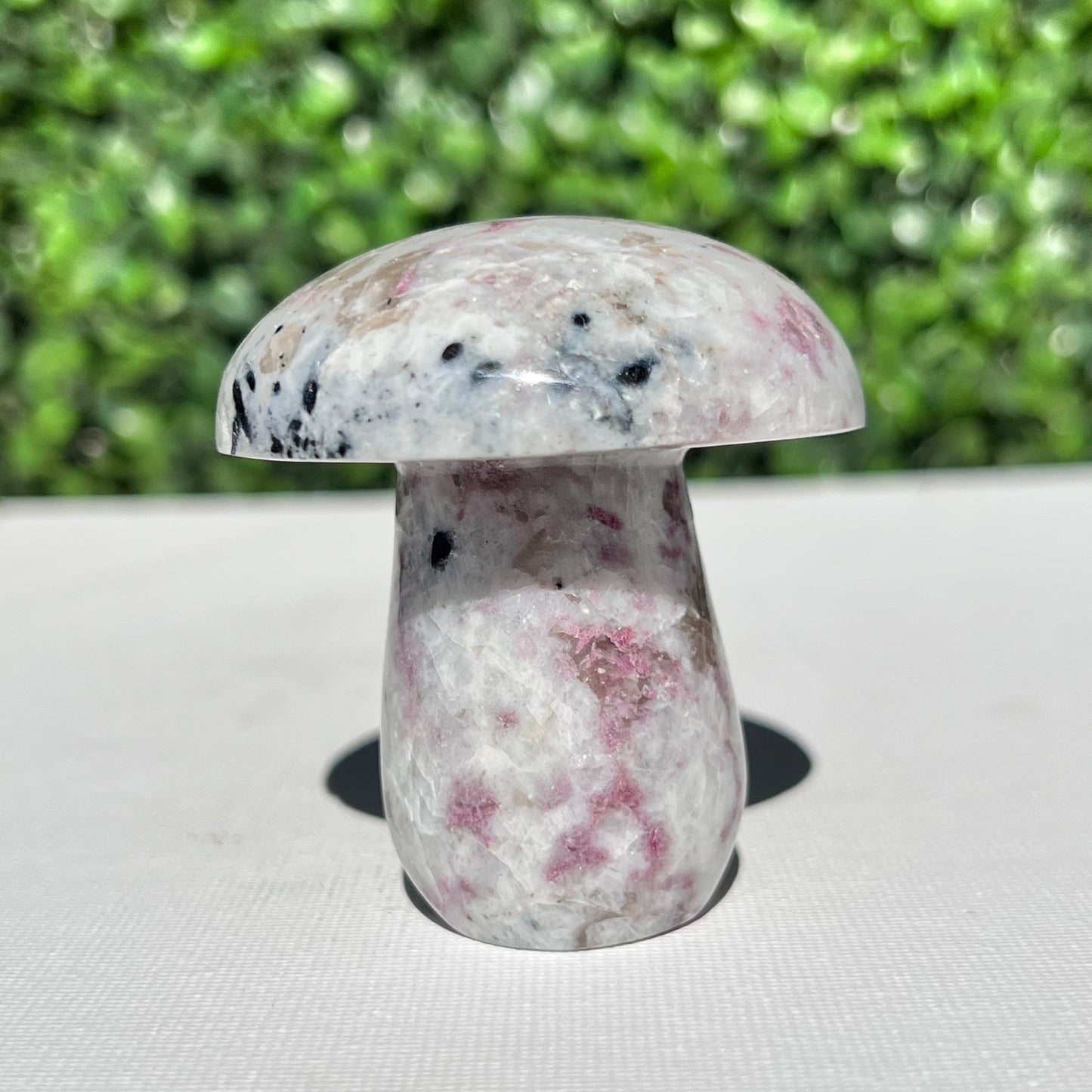 Eudialyte Mushroom