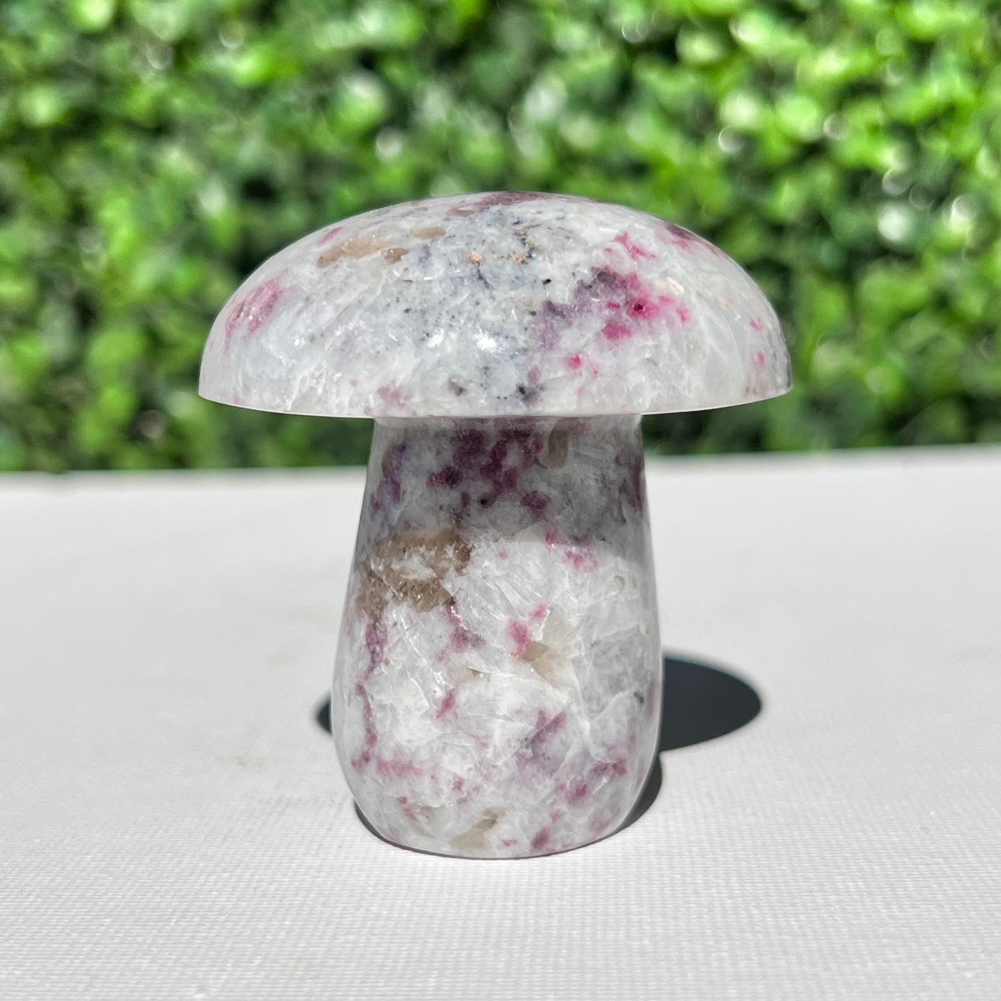 Eudialyte Mushroom