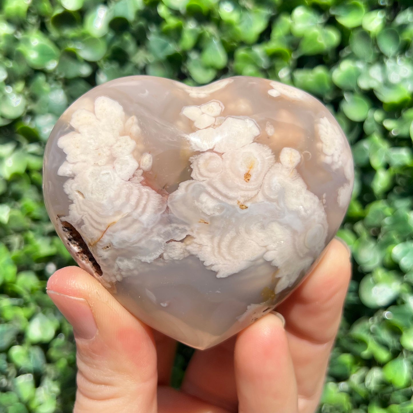 Flower Agate Heart