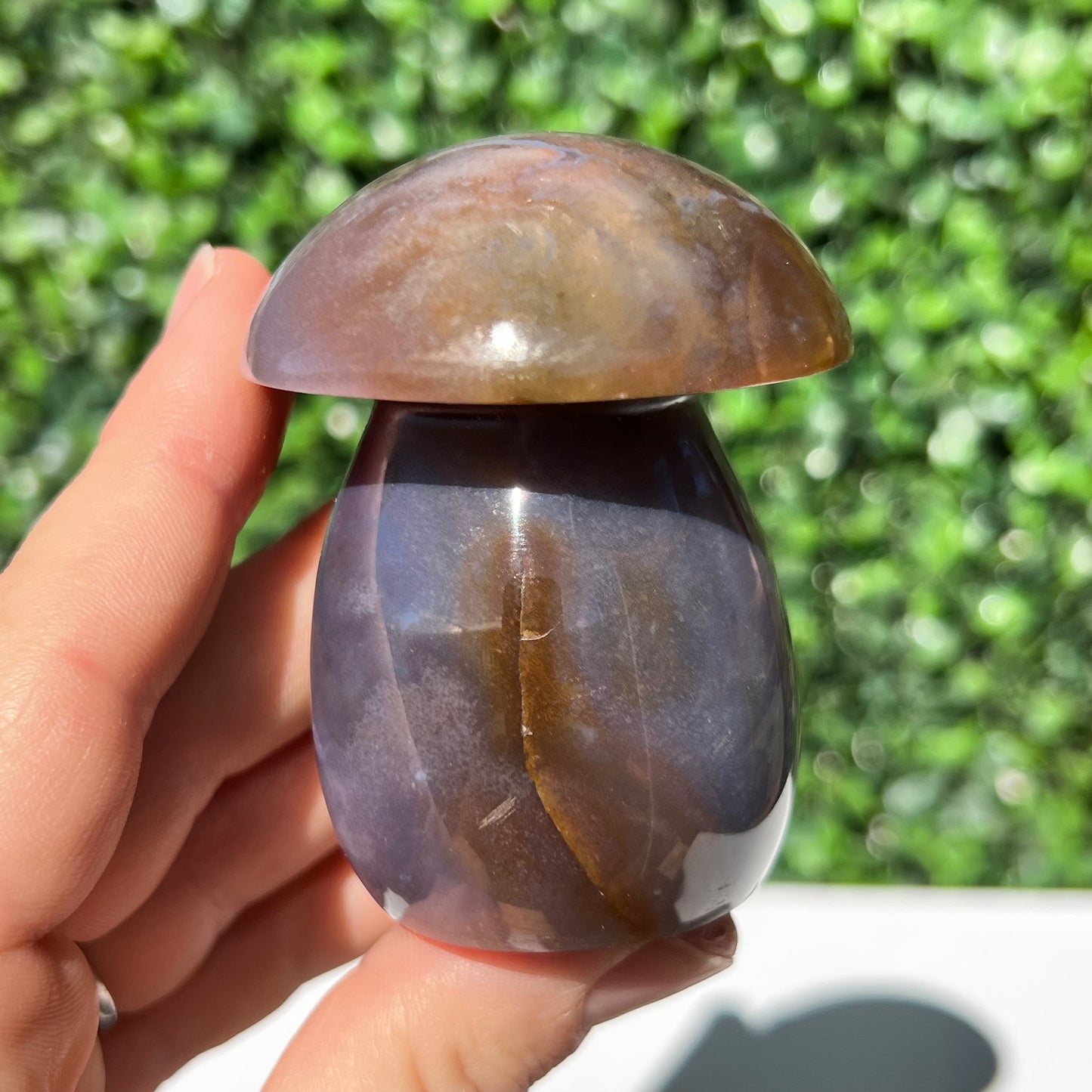 Polychrome Desert Japser Mushroom