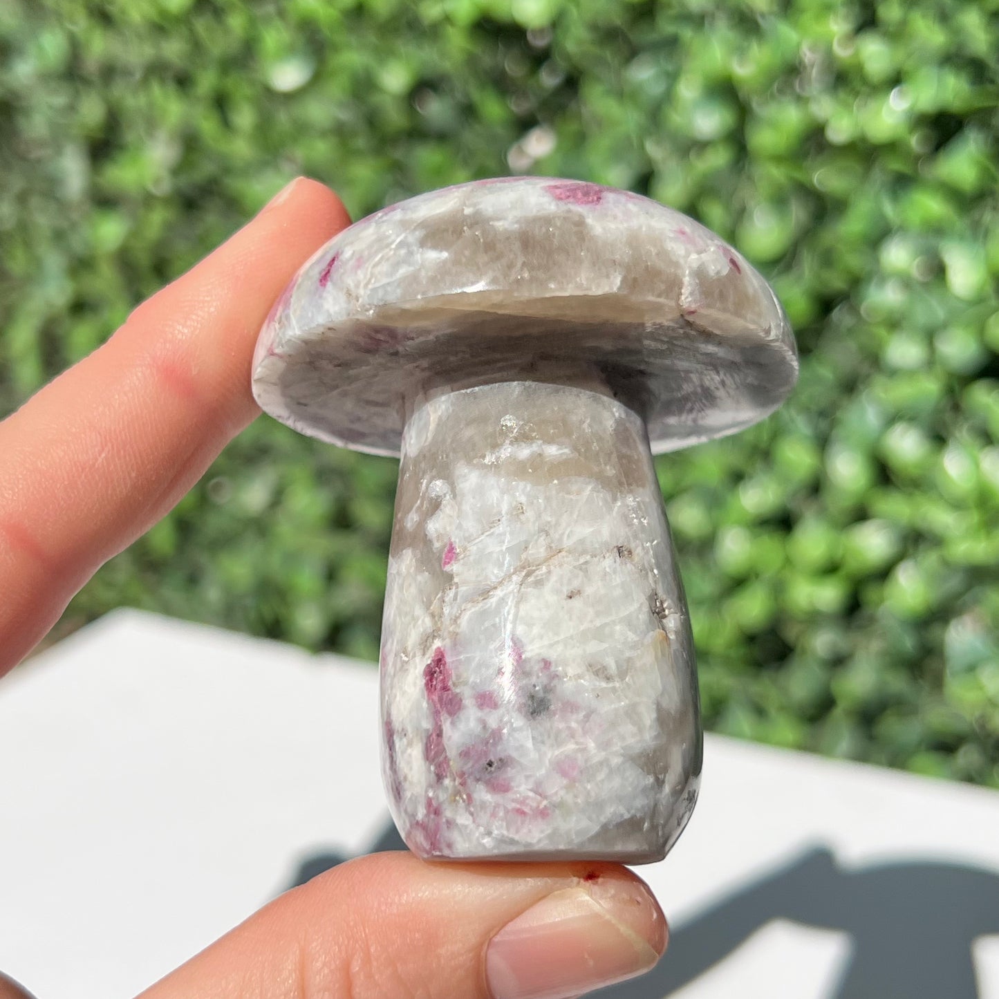 Eudialyte Mushroom