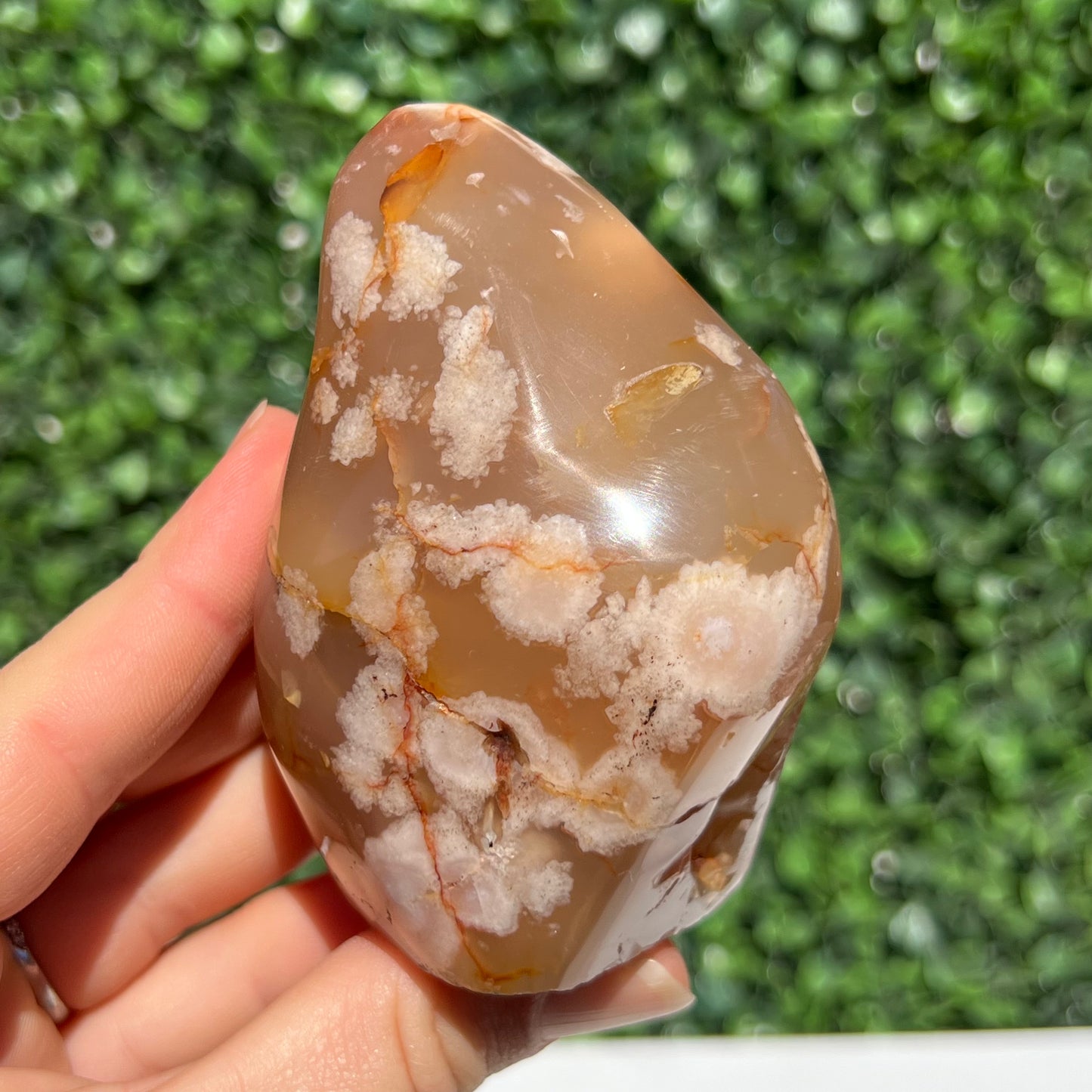 Flower Agate Free Form