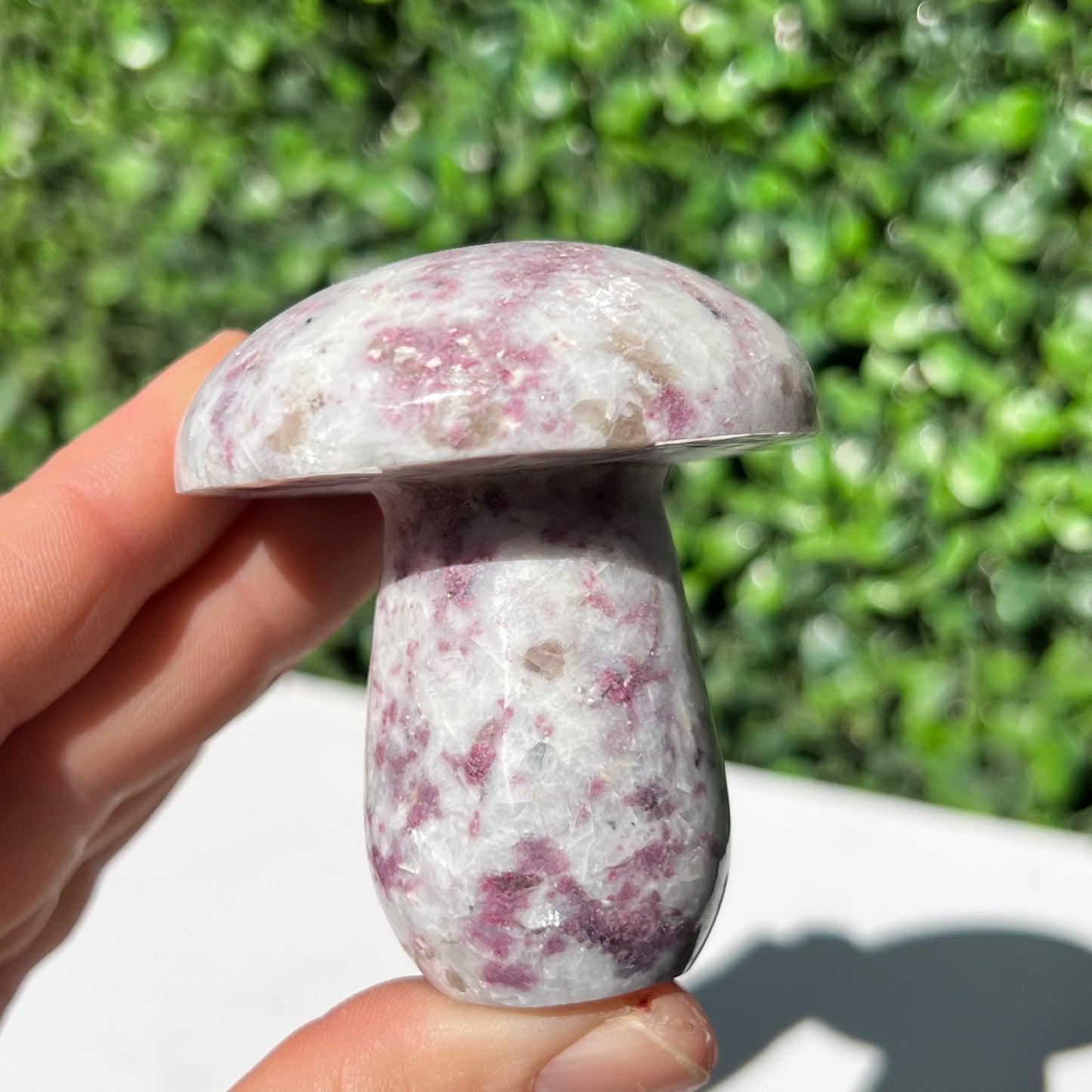 Eudialyte Mushroom